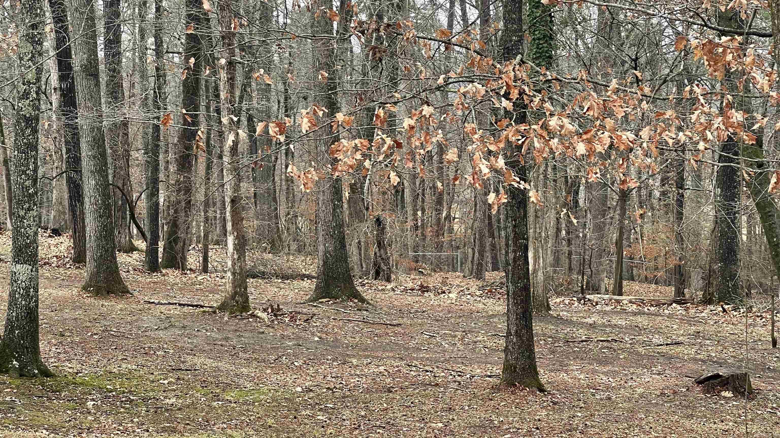 VALLEY CLIFF - Residential