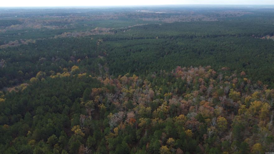 ituated just outside the small community of Joan, Arkansas, this property offers a classic South Arkansas creek bottom hunting setup off of Highway 51. The strong natural habitat with creeks, hardwoods, and pines makes this tract especially appealing for buyers looking for a deer-focused recreational property that’s simple to enjoy and easy to manage. The land is defined by creek bottoms and natural drainages that create consistent travel routes for whitetail deer. These low areas provide seasonal water, edge habitat, and soft mast, all of which help retain deer year-round. Trails and crossings are naturally established, making stand placement intuitive for both bow and rifle seasons. It’s the type of ground where you can scan the terrain and hunt it effectively without overcomplicating things. The surrounding habitat and cover give deer the security they need. At the same time, the layout allows for future improvements such as food plots, trail systems, or selective timber work to further enhance carrying capacity. Whether you’re slipping in for an evening sit after work or spending a whole weekend managing and hunting the property, the location makes ownership practical.