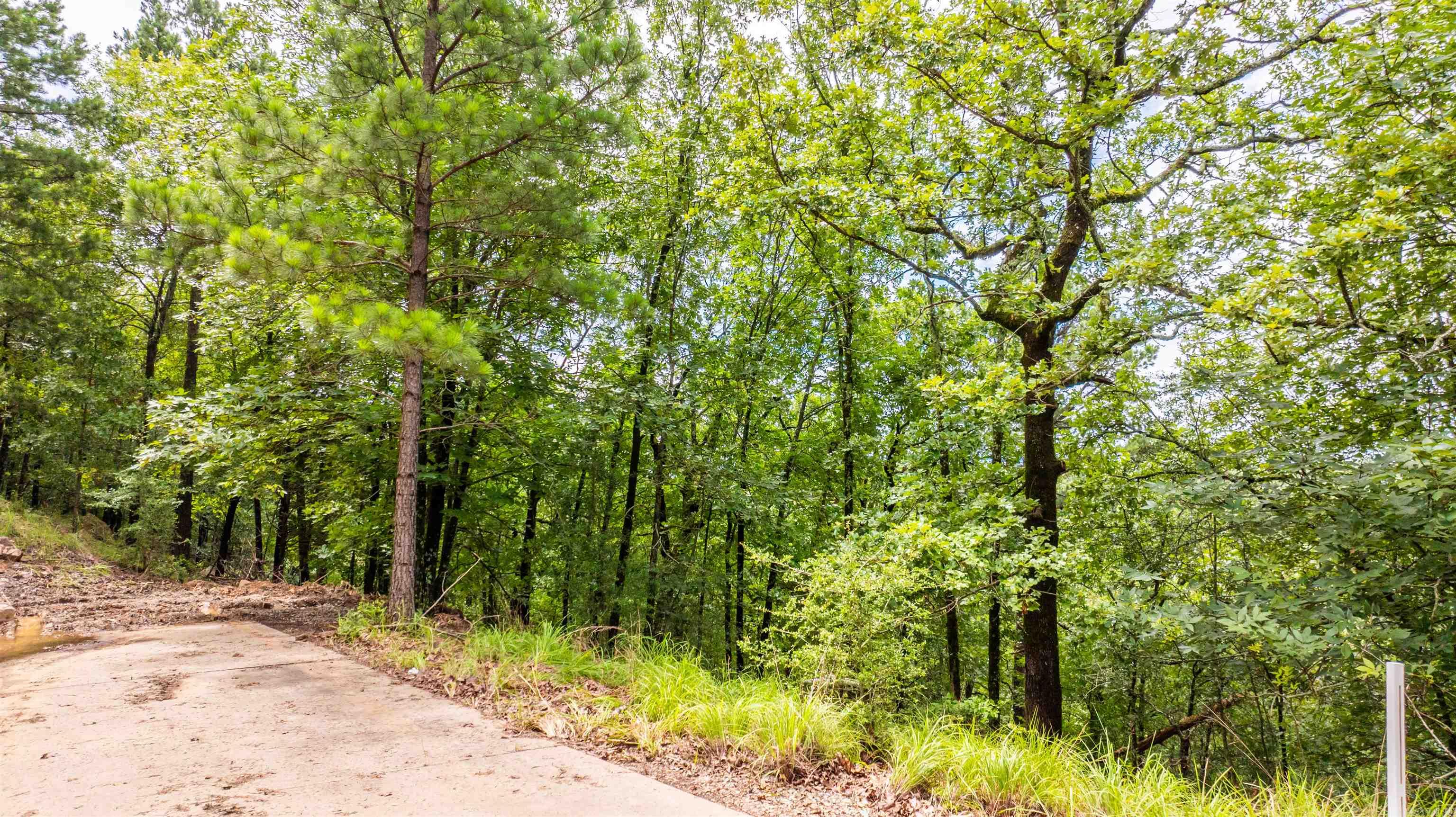 Overlook Park - Land