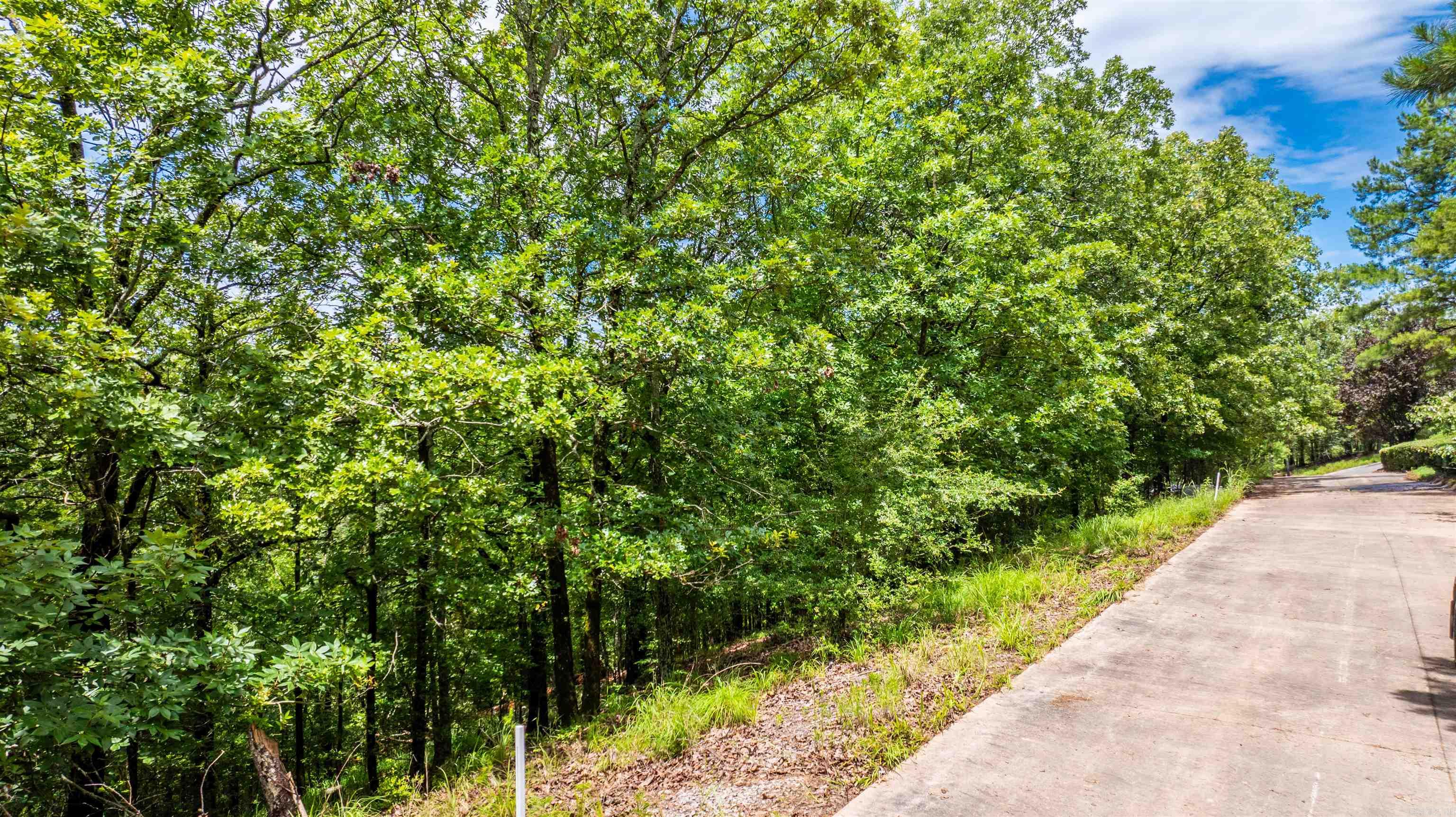 Overlook Park - Land