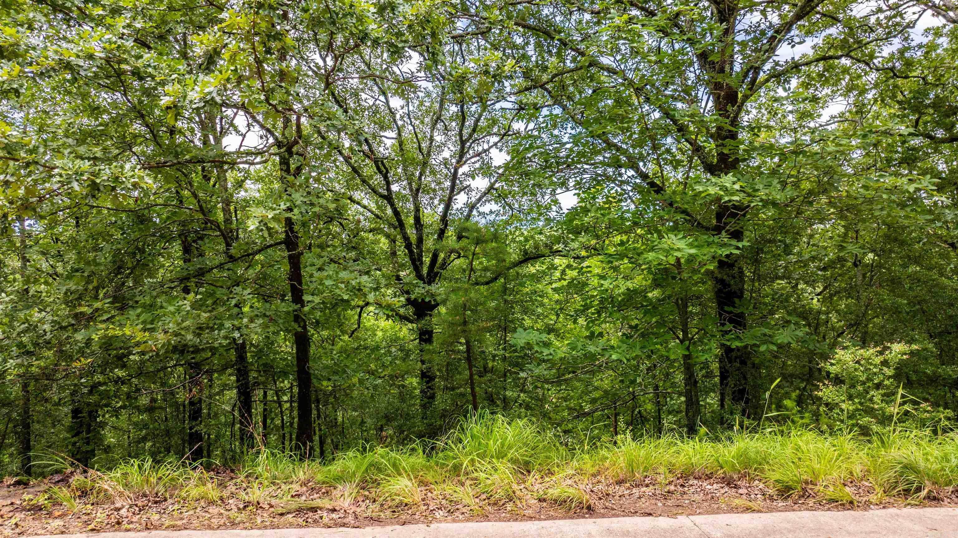 Overlook Park - Land