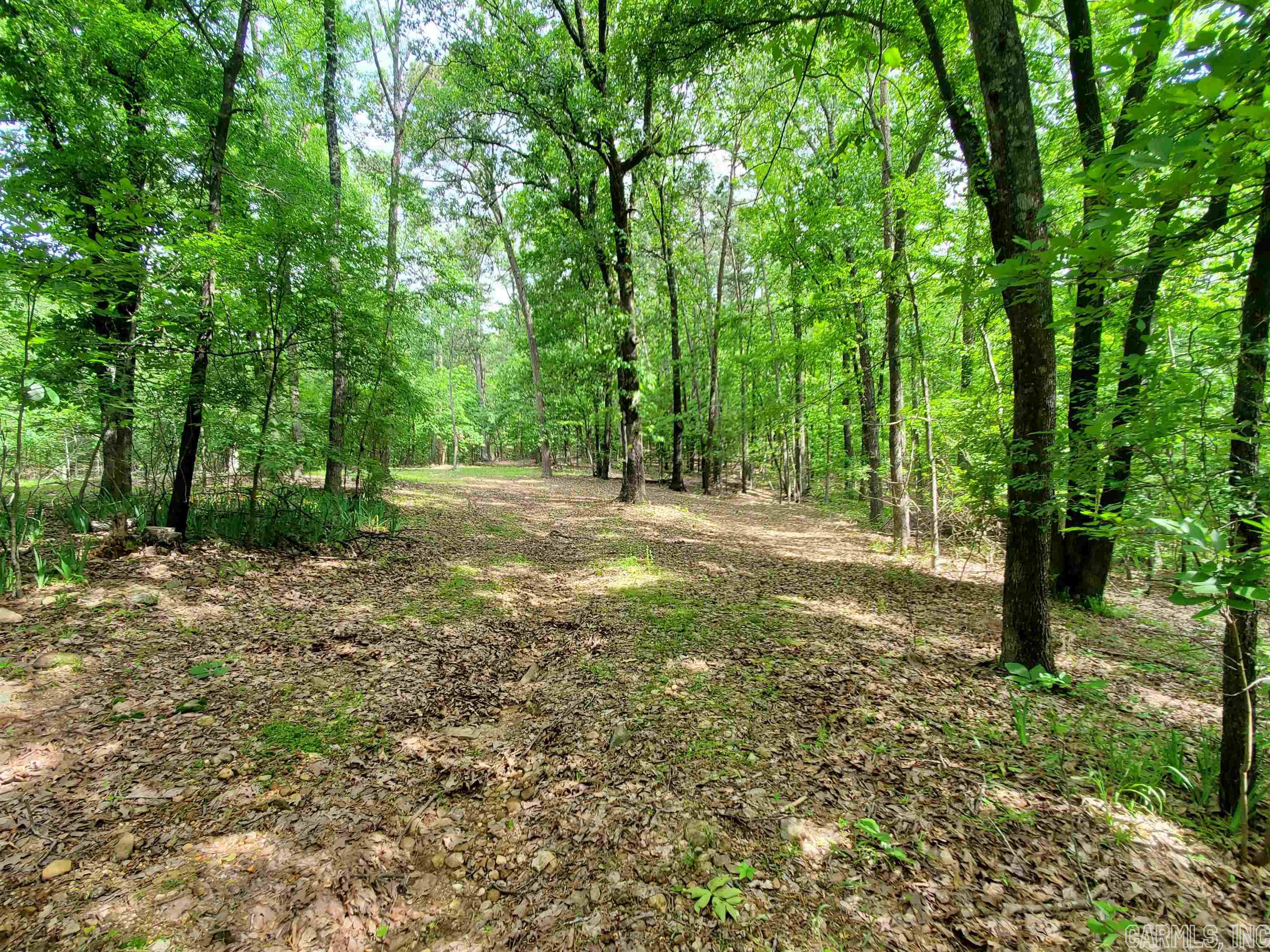 Mountain Pine Outside - Residential