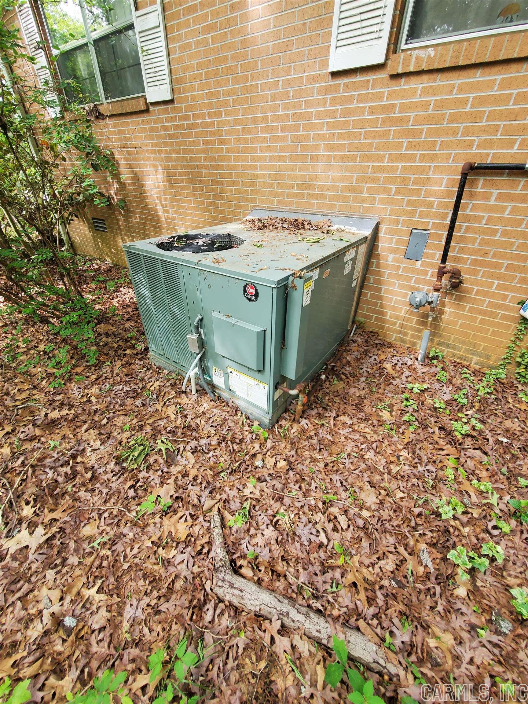 Mountain Pine Outside - Residential