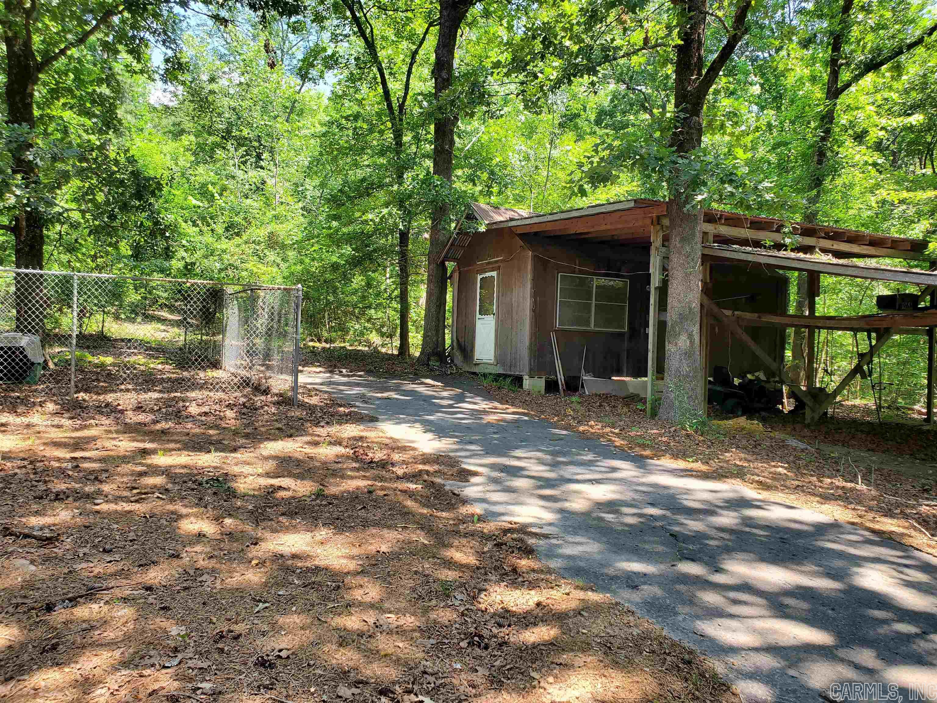 Mountain Pine Outside - Residential