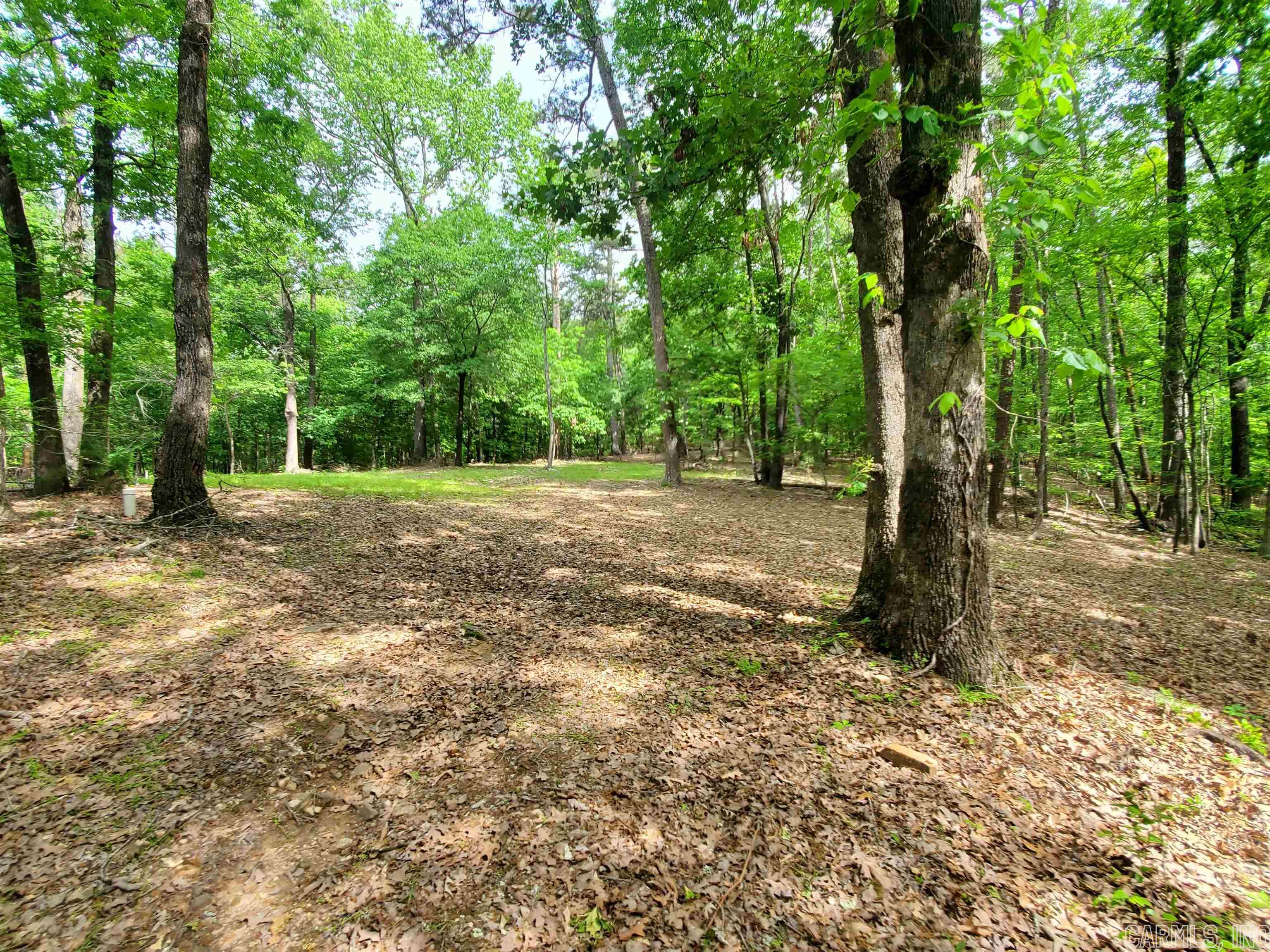 Mountain Pine Outside - Residential