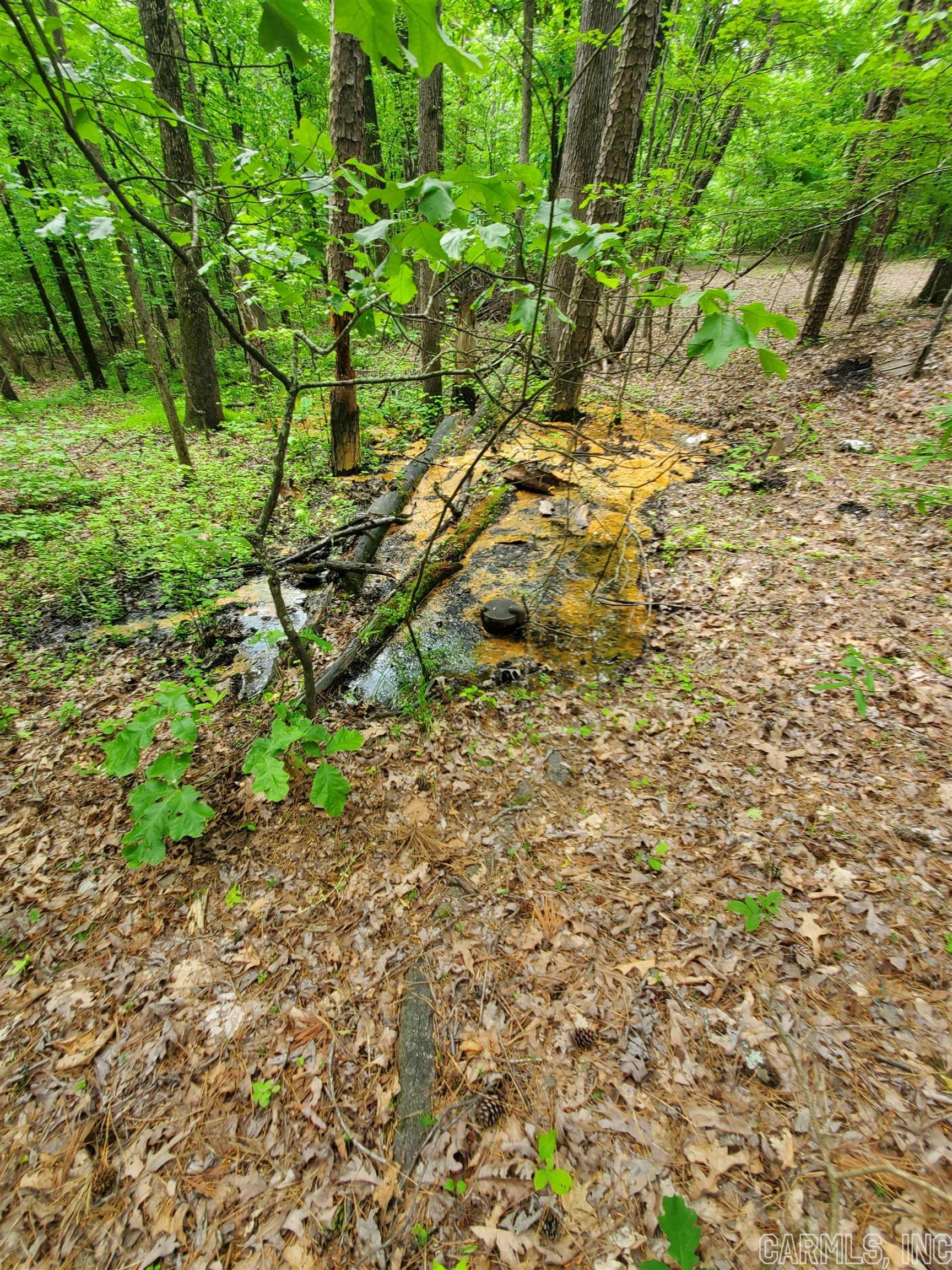 Mountain Pine Outside - Residential