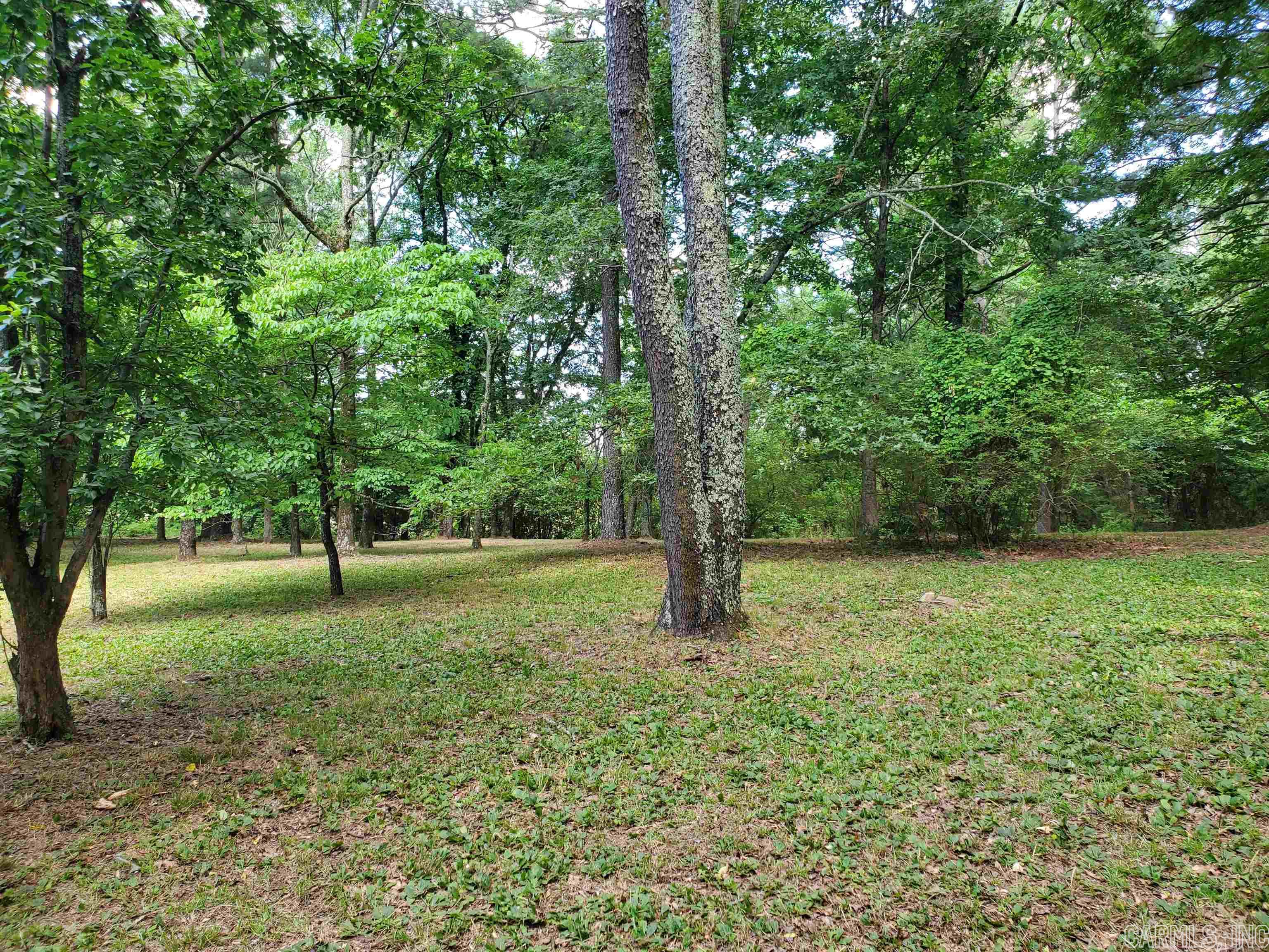 Mountain Pine Outside - Residential