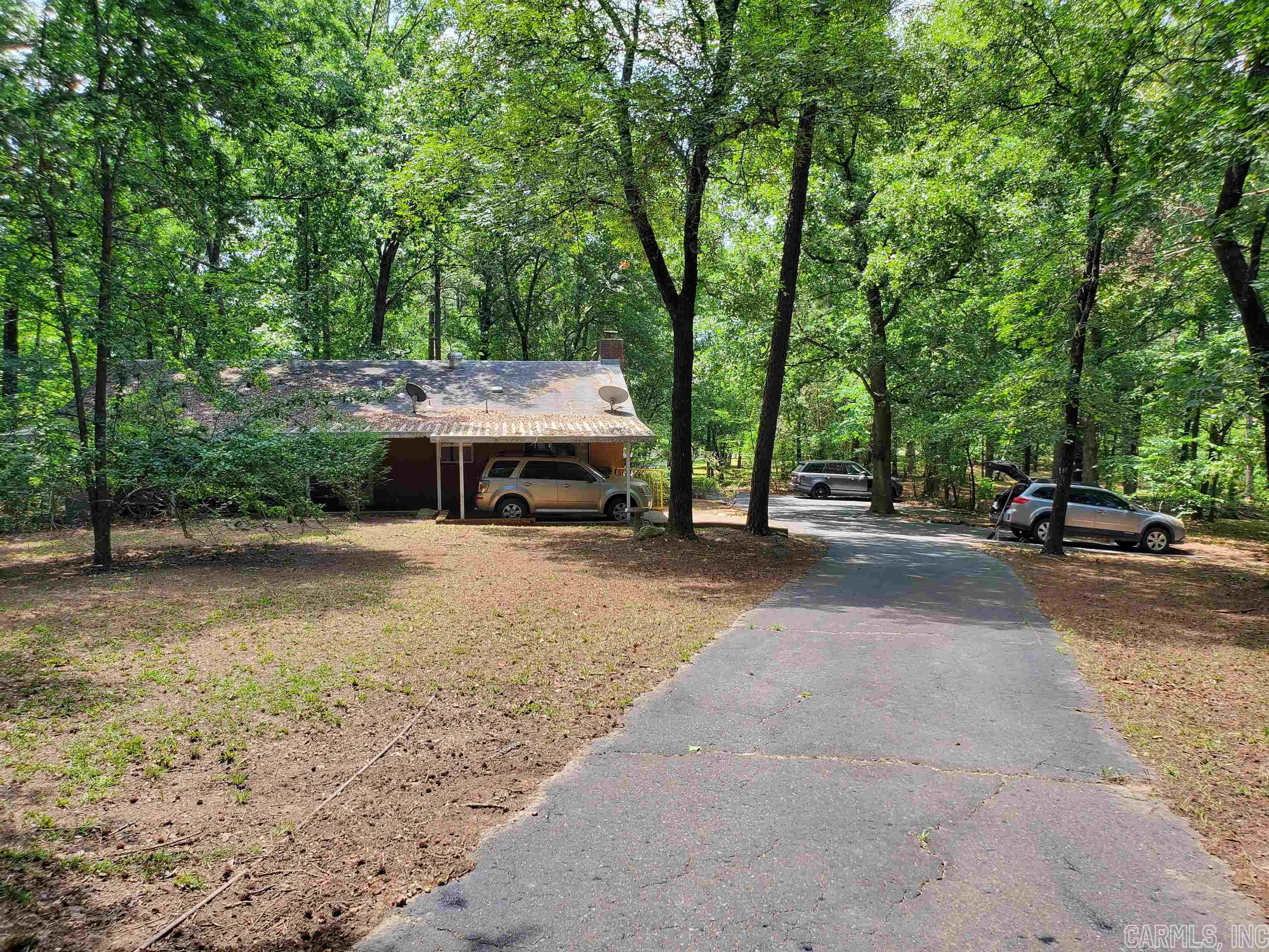 Mountain Pine Outside - Residential