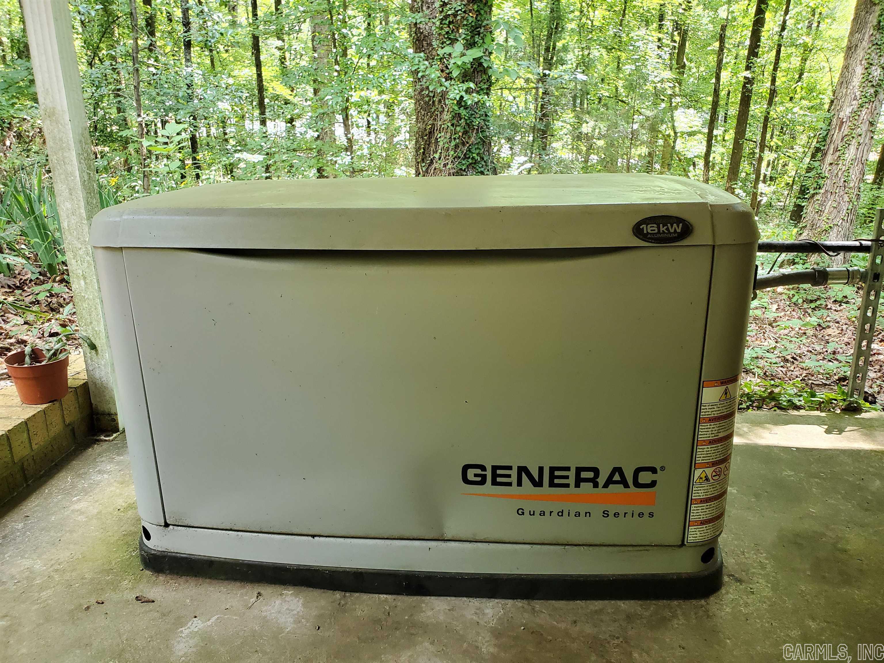 Mountain Pine Outside - Residential