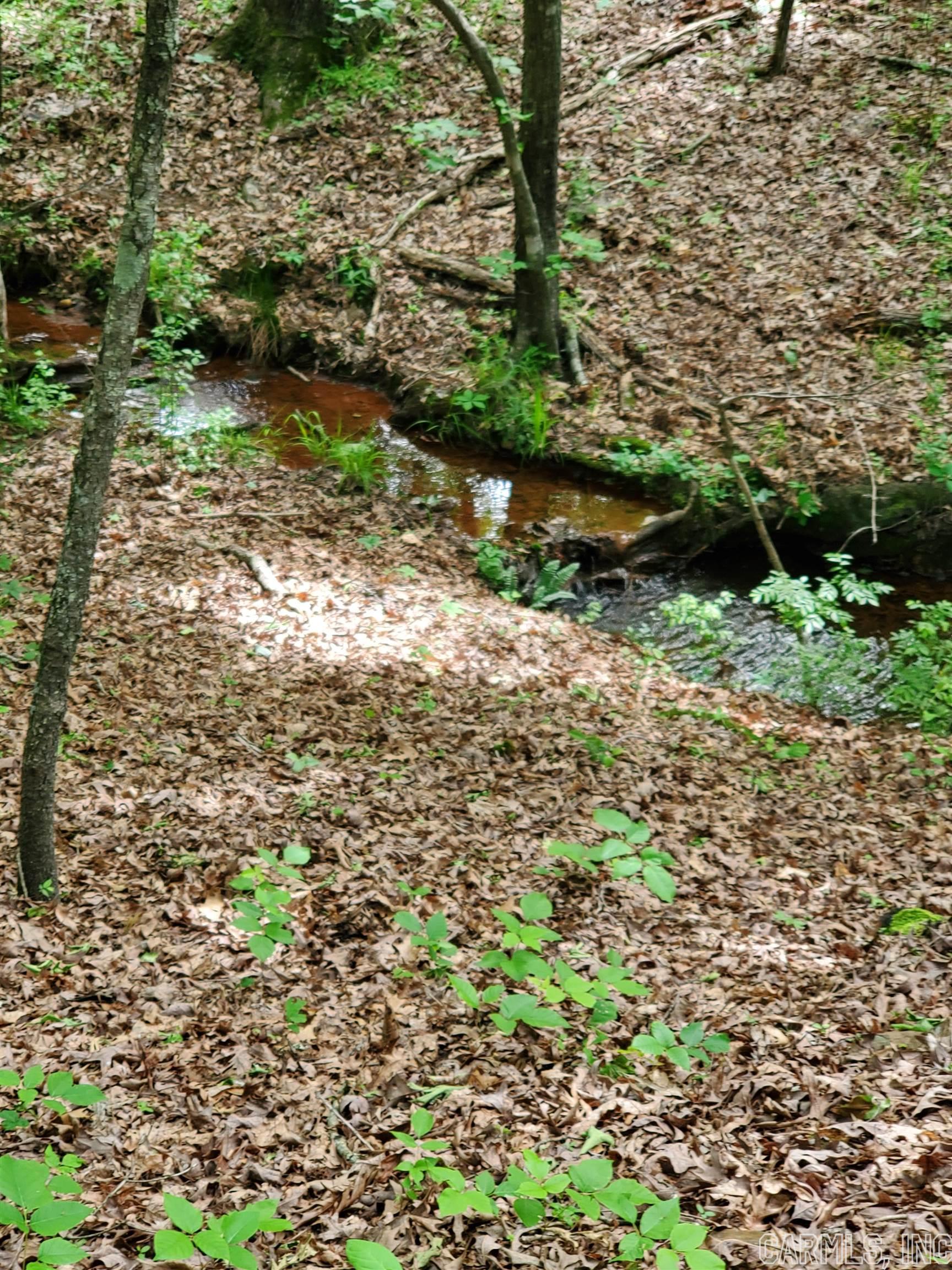 Mountain Pine Outside - Residential