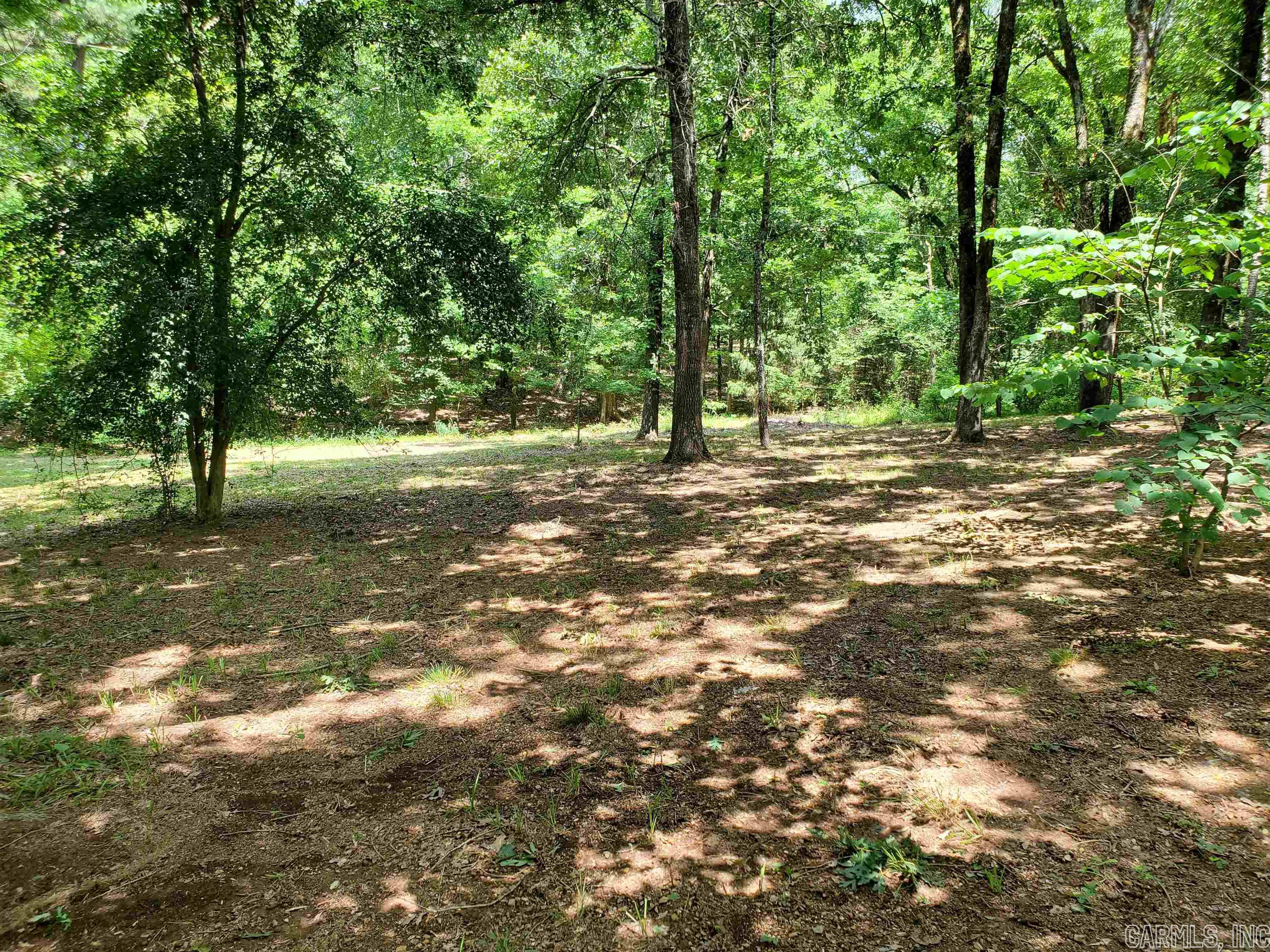 Mountain Pine Outside - Residential