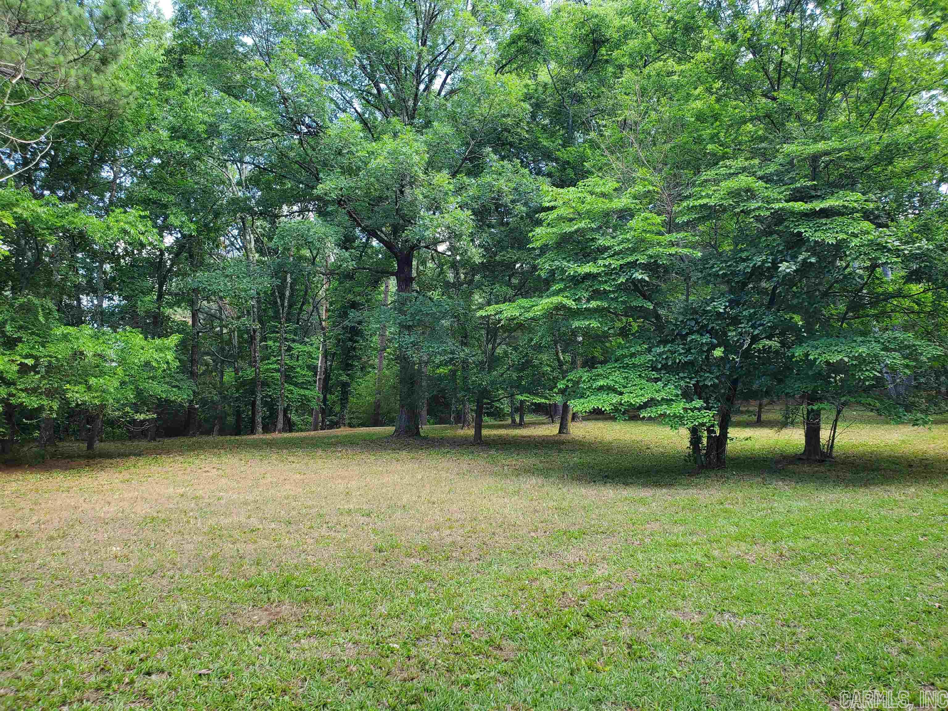 Mountain Pine Outside - Residential