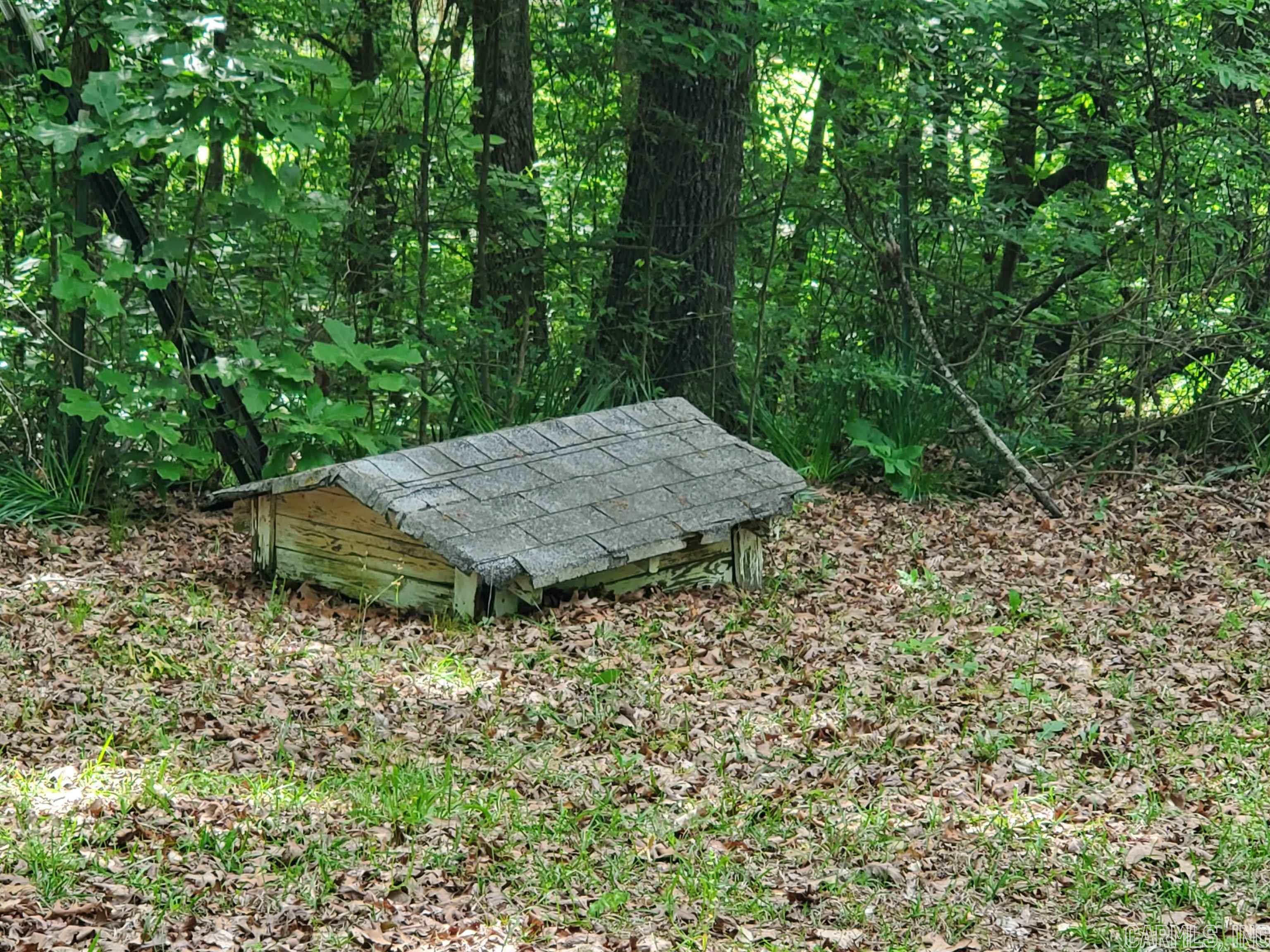 Mountain Pine Outside - Residential