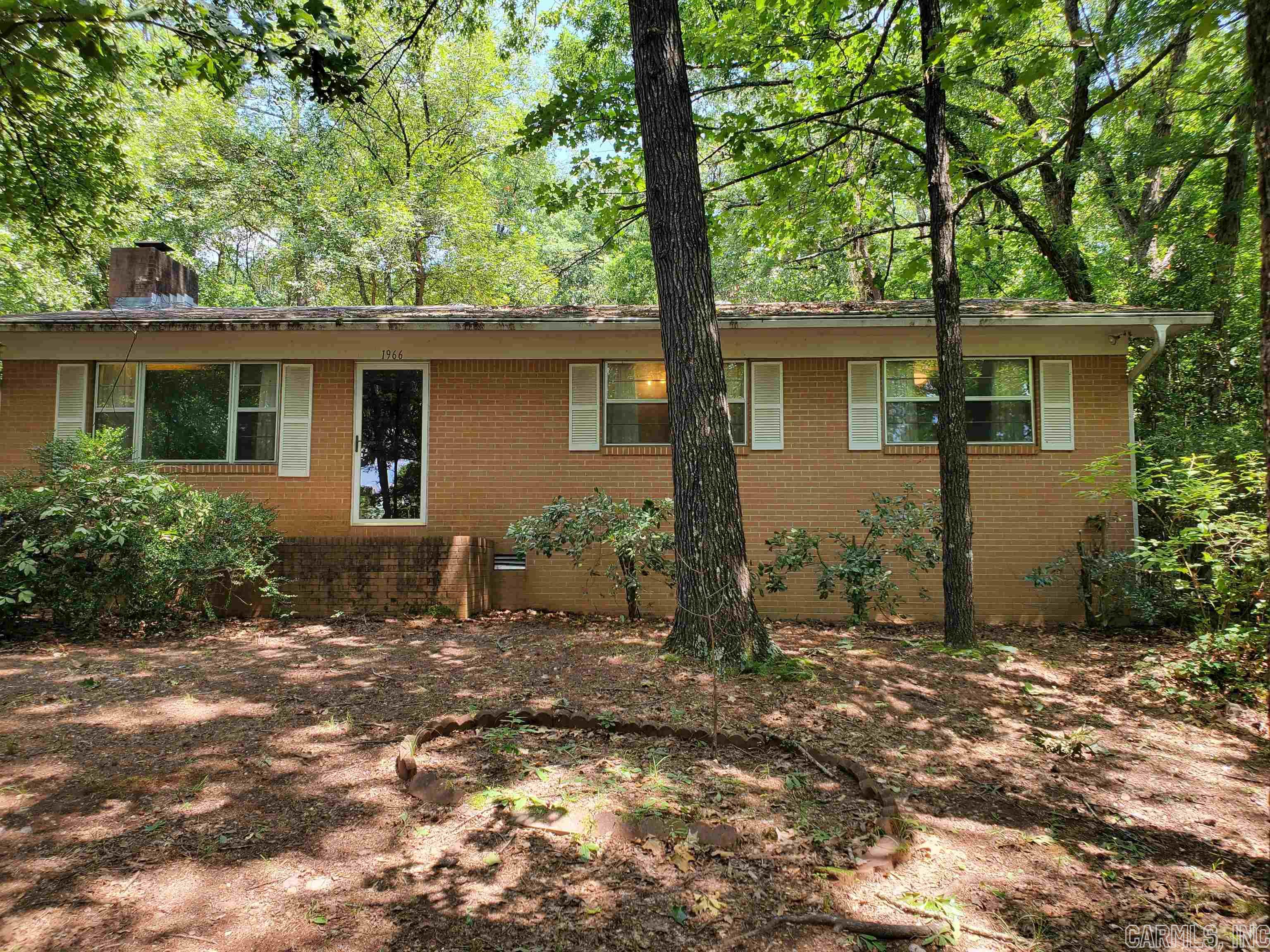 Mountain Pine Outside - Residential