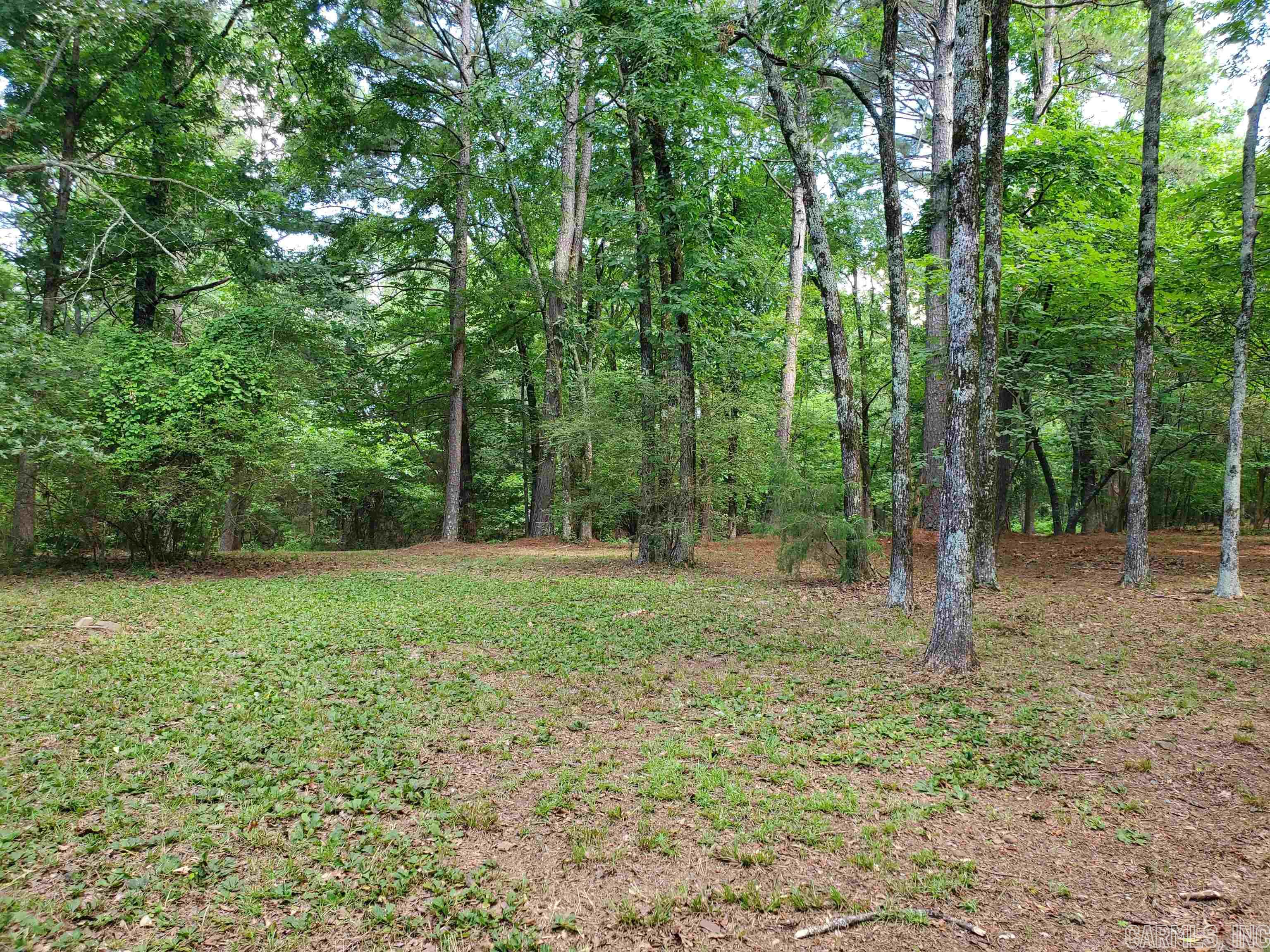 Mountain Pine Outside - Residential