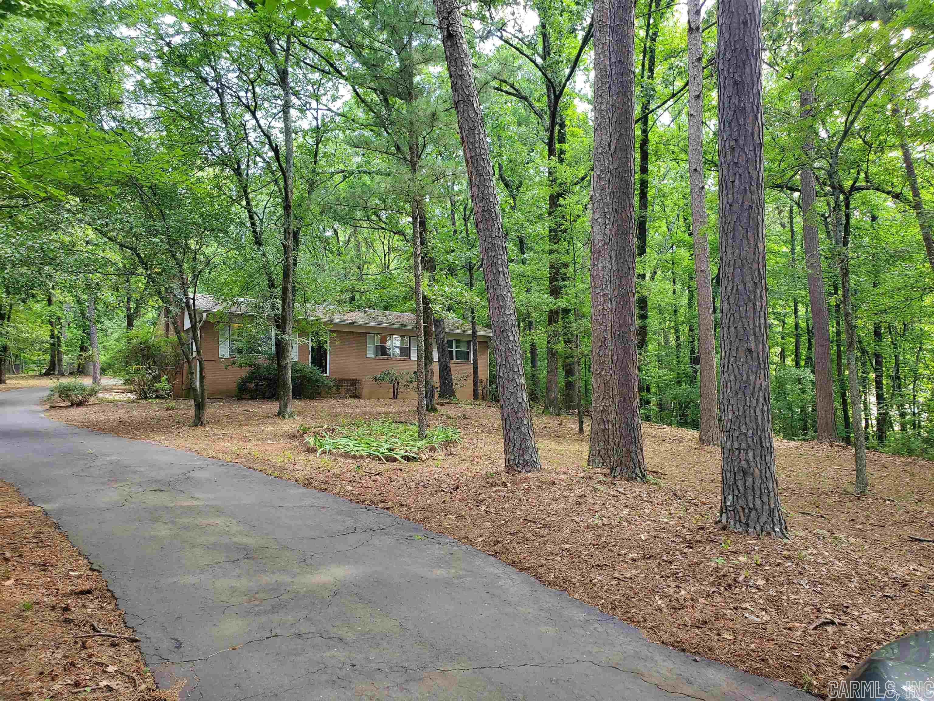 Mountain Pine Outside - Residential