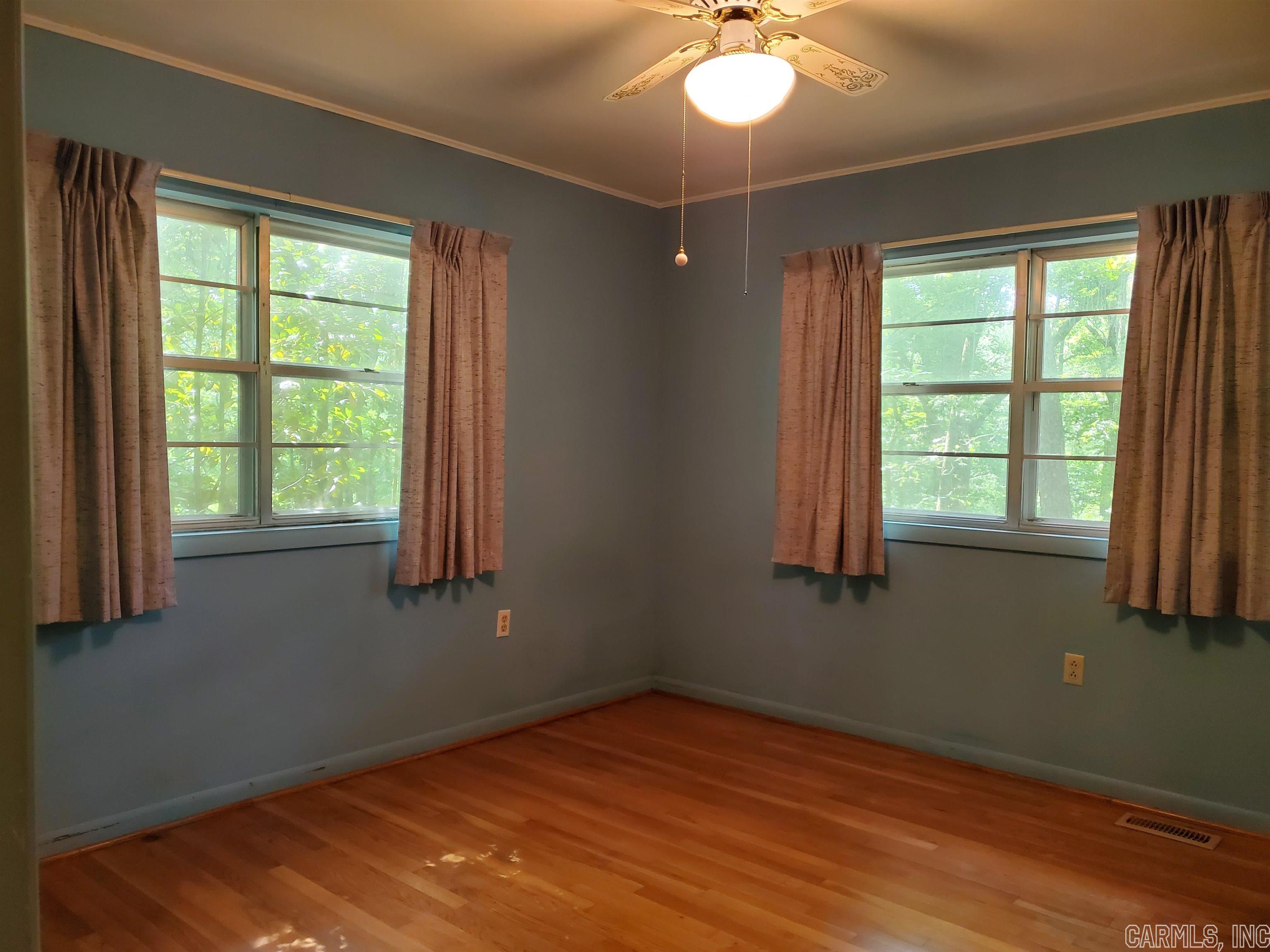 Mountain Pine Outside - Residential