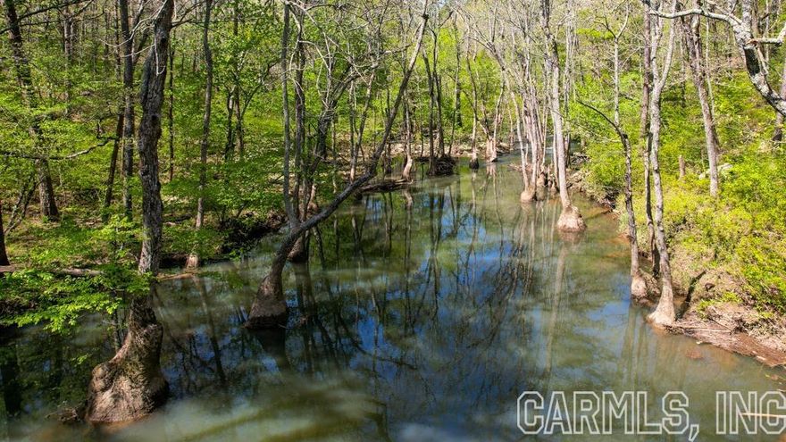 When you arrive on the banks of the Fourteen Mile Creek that flows through this property, you will fully appreciate the beauty of this scenic 160+/- acre property! While this body of water is labeled a creek, it flows more like a river. If you want to own your personal slice of heaven, look no further! With established trails throughout the property, access is easy to bring in all your friends and family to relax and float or fish the creek. With water, food, and cover all located on this parcel, wildlife have everything they need situated perfectly to support great hunting. There are some clearings and small grass food plot areas started already but there is ample room for many more to go if to support additional hunting stand scenarios. If that were not enough reason to consider this property, there are large stands of mature timber to explore or simply enjoy. If you are looking for a way to cover the cost of building or enhancing this property, there is sufficient timber value standing to select cut portions of the land in order to see a return on your investment. With county road access on the south side of the property and electric service at the SE corner, building to suit.