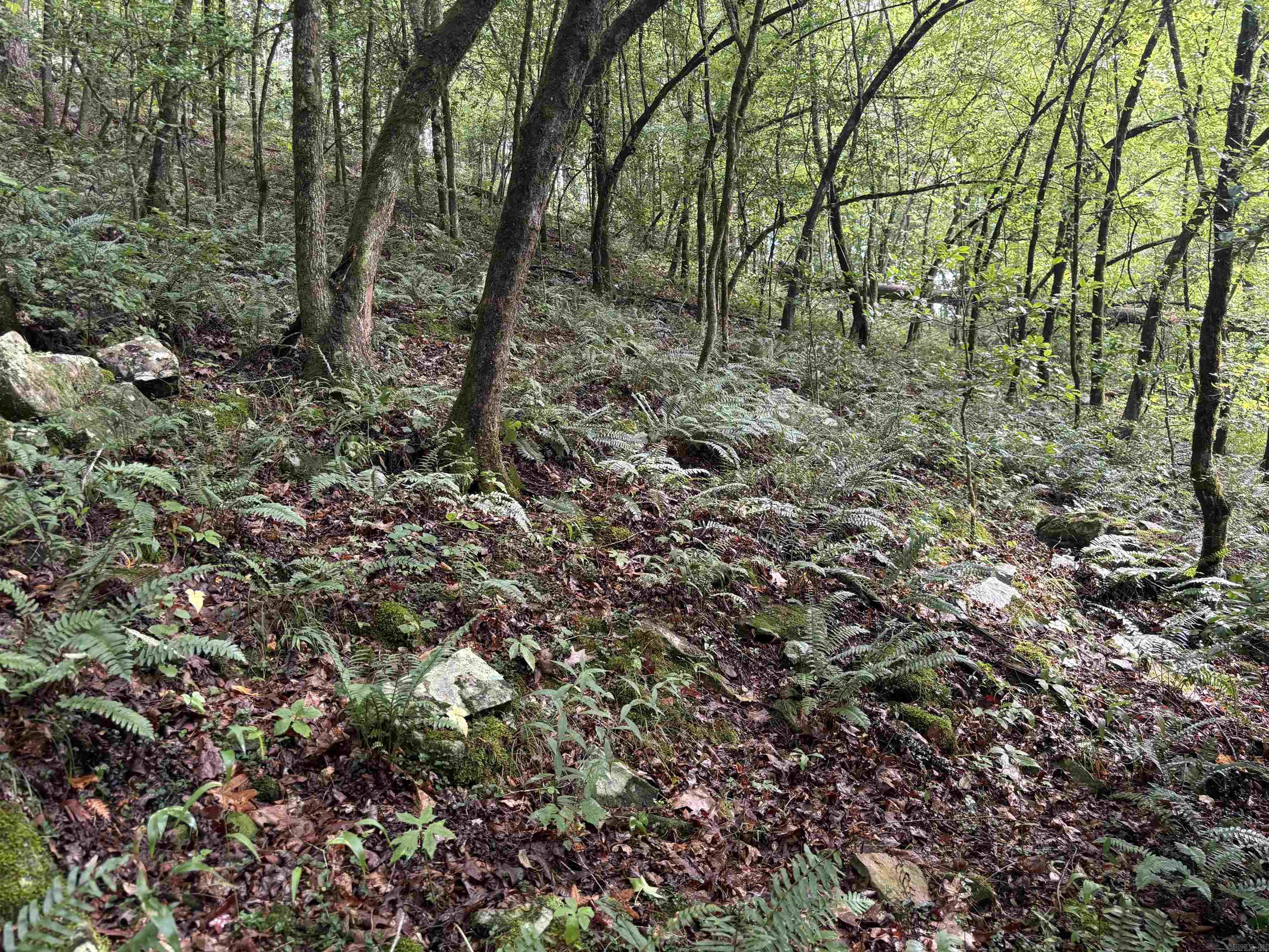 Not in Subdivision - Land