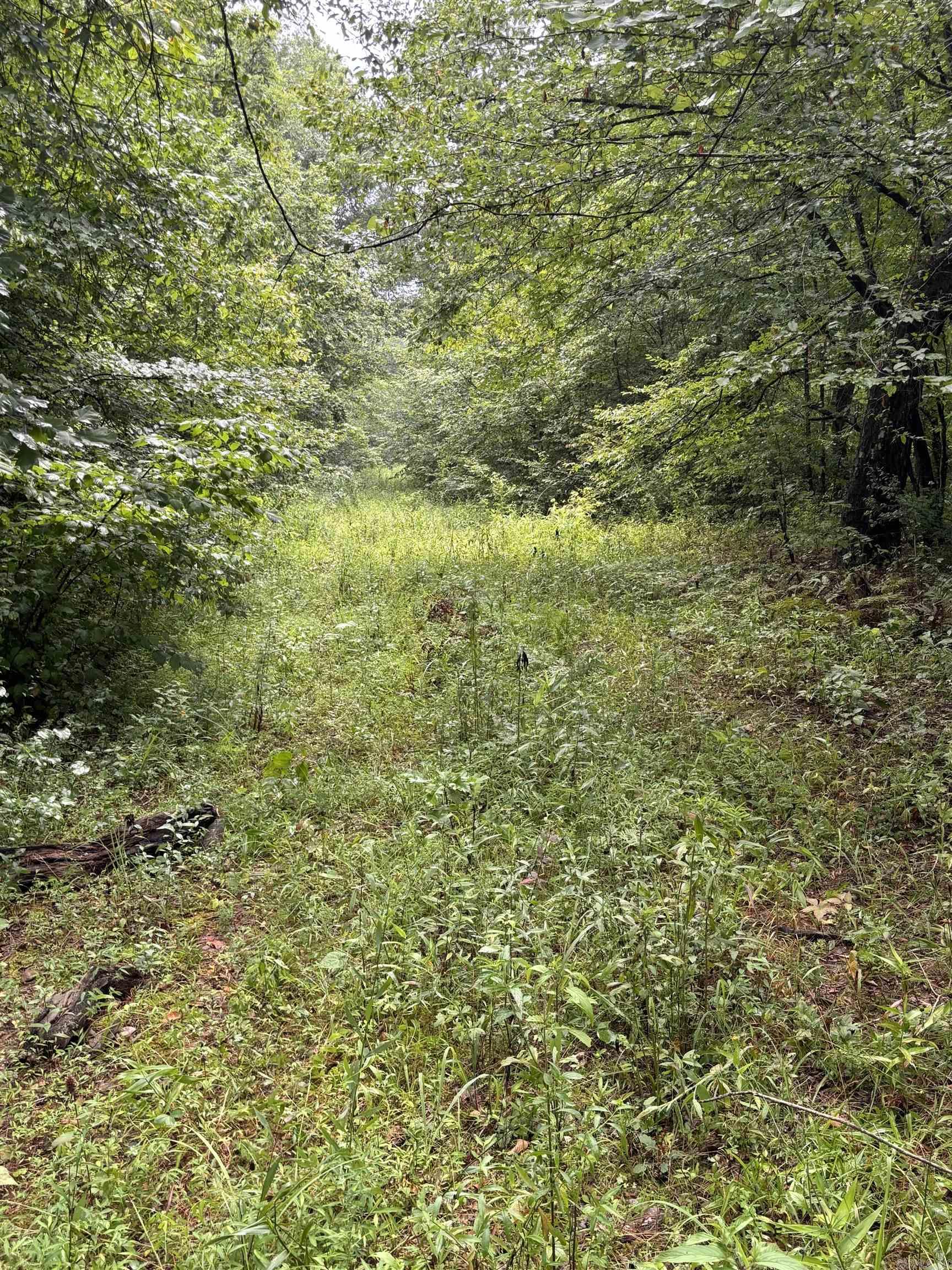 Not in Subdivision - Land