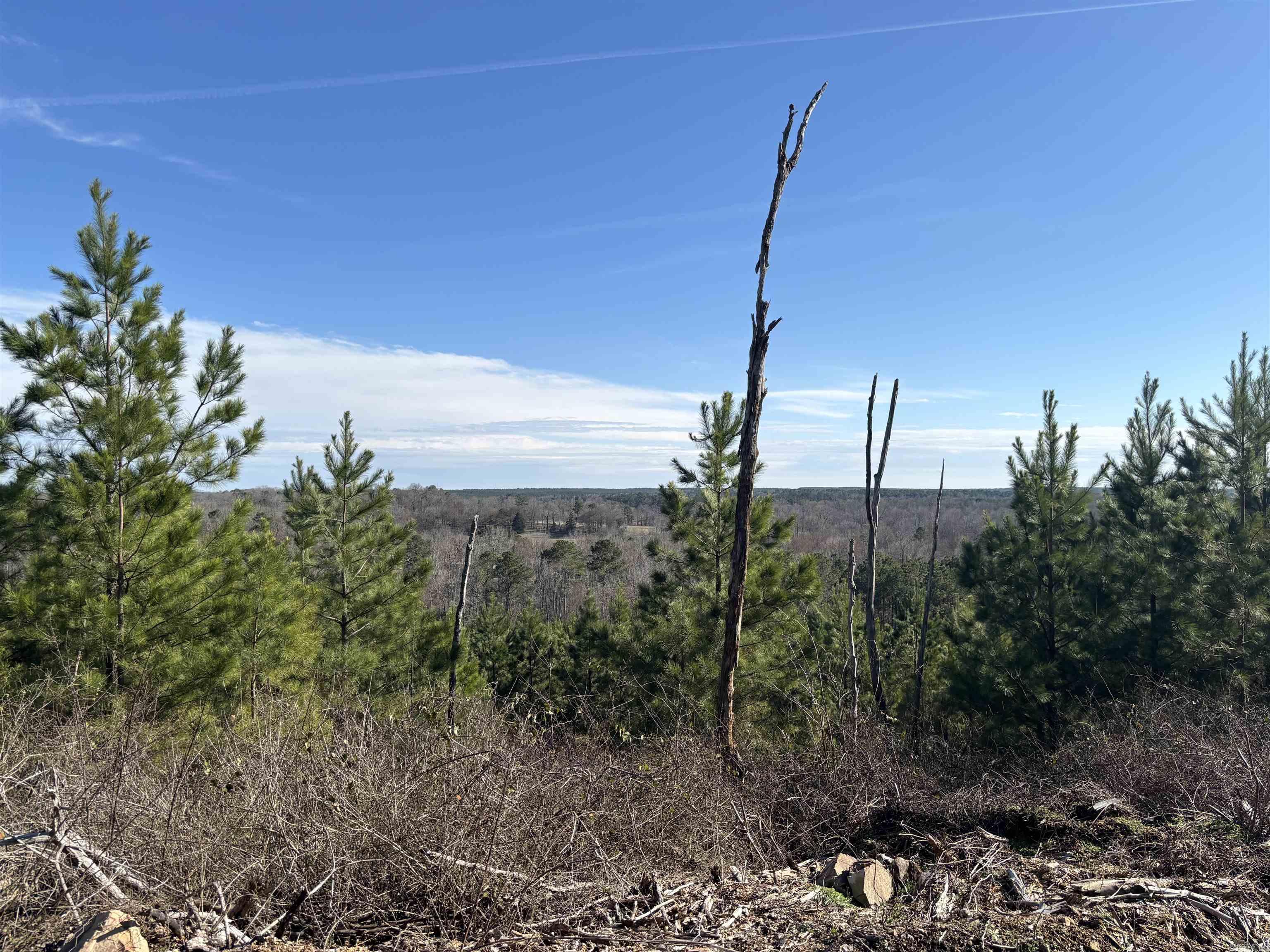 Not in Subdivision - Land