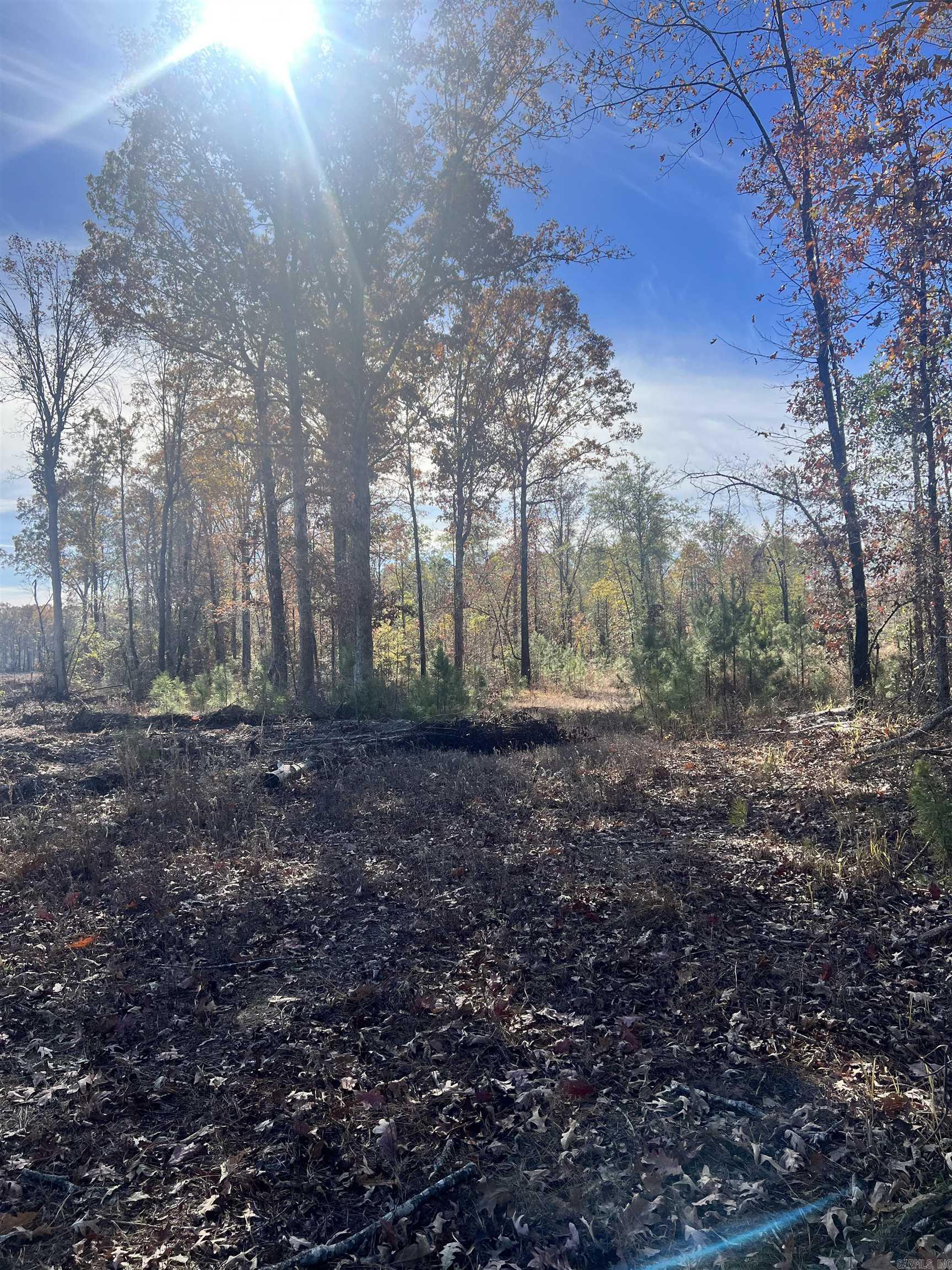 40 acres in Bauxite with no restrictions! Mobiles, livestock, and campers allowed! Whether you're looking for a development opportunity or you're looking for your own personal piece of seclusion, this land is perfect for you. Property line starts about 300 feet after gravel ends. Look for arrow sign.