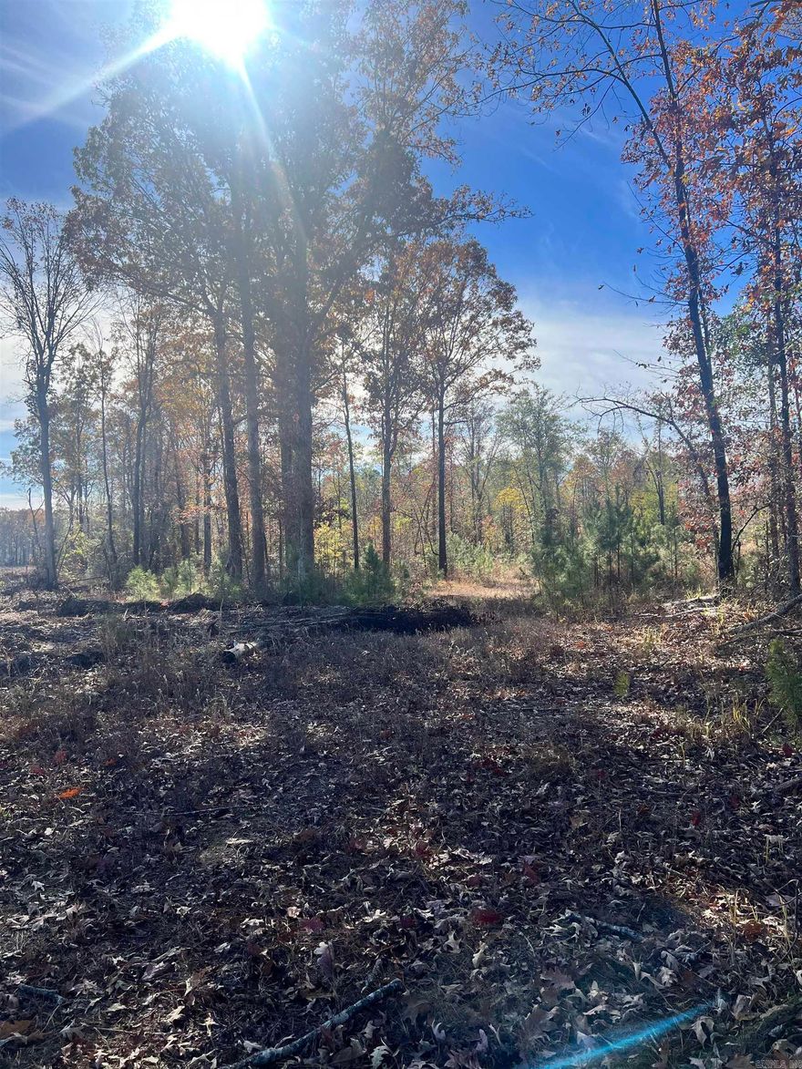 40 acres in Bauxite with no restrictions! Mobiles, livestock, and campers allowed! Whether you're looking for a development opportunity or you're looking for your own personal piece of seclusion, this land is perfect for you. Property line starts about 300 feet after gravel ends. Look for arrow sign.
