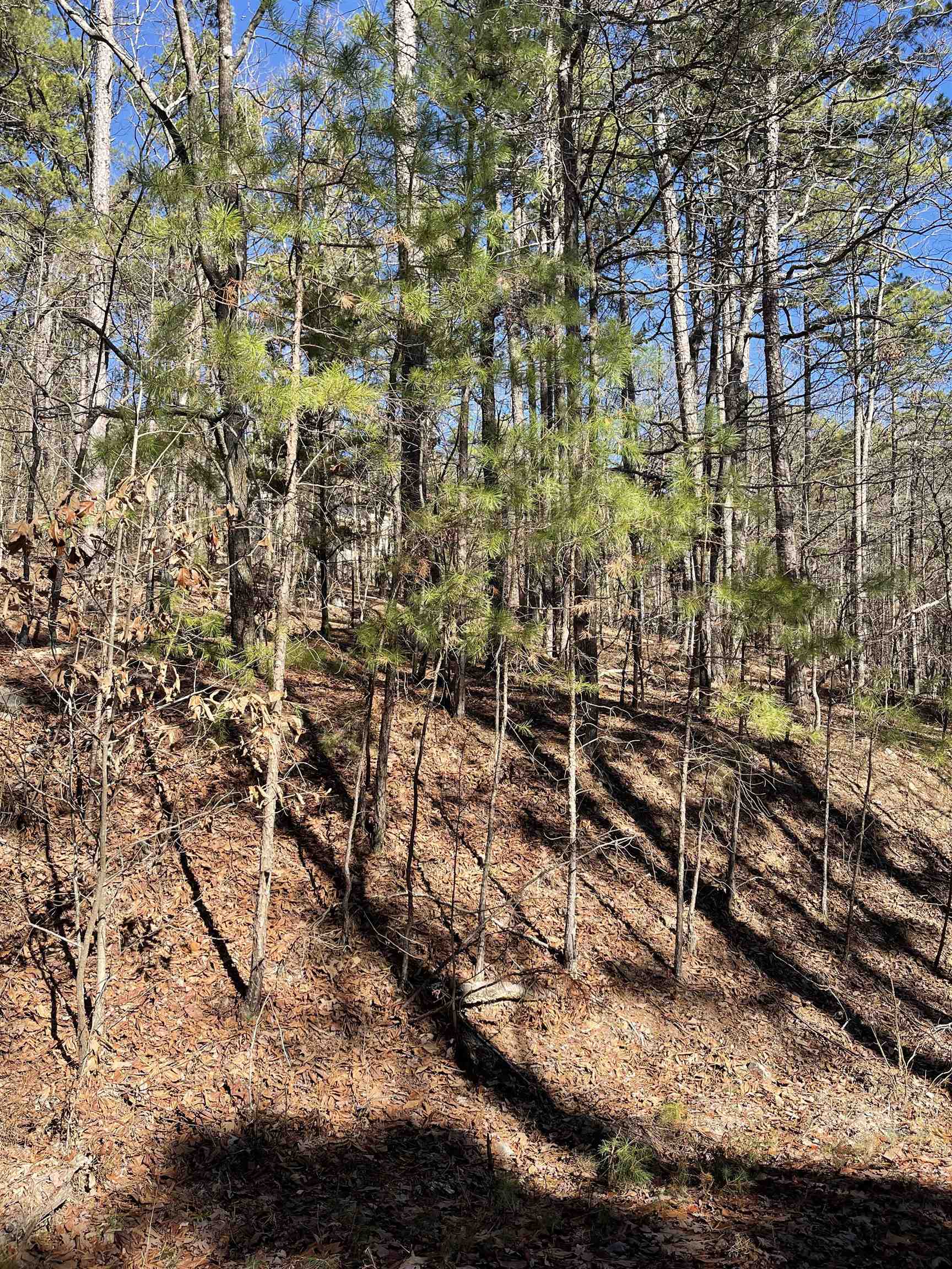 Beautiful wooded lot in Hot Springs Village, the largest gated community in the US. With 11 lakes, including a white sandy Beach, 2 marinas, 9 golf courses, pickle ball courts, play ground, fine arts auditorium, and much more, you love life living in this community nestled in the Ouachita Mountains. First time buyers will have a $300 fee made payable to the POA at closing.