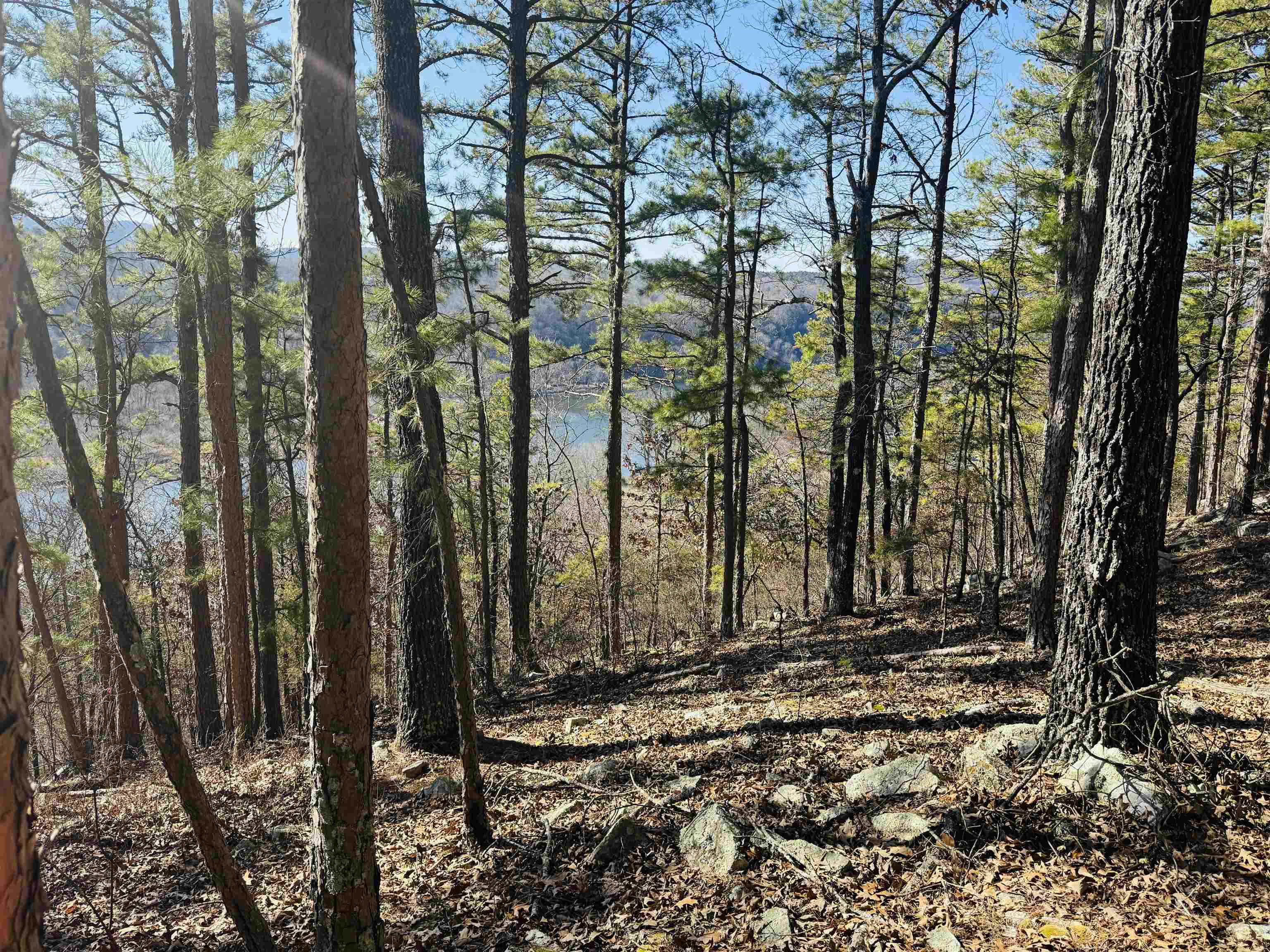 Metes & Bounds - Land