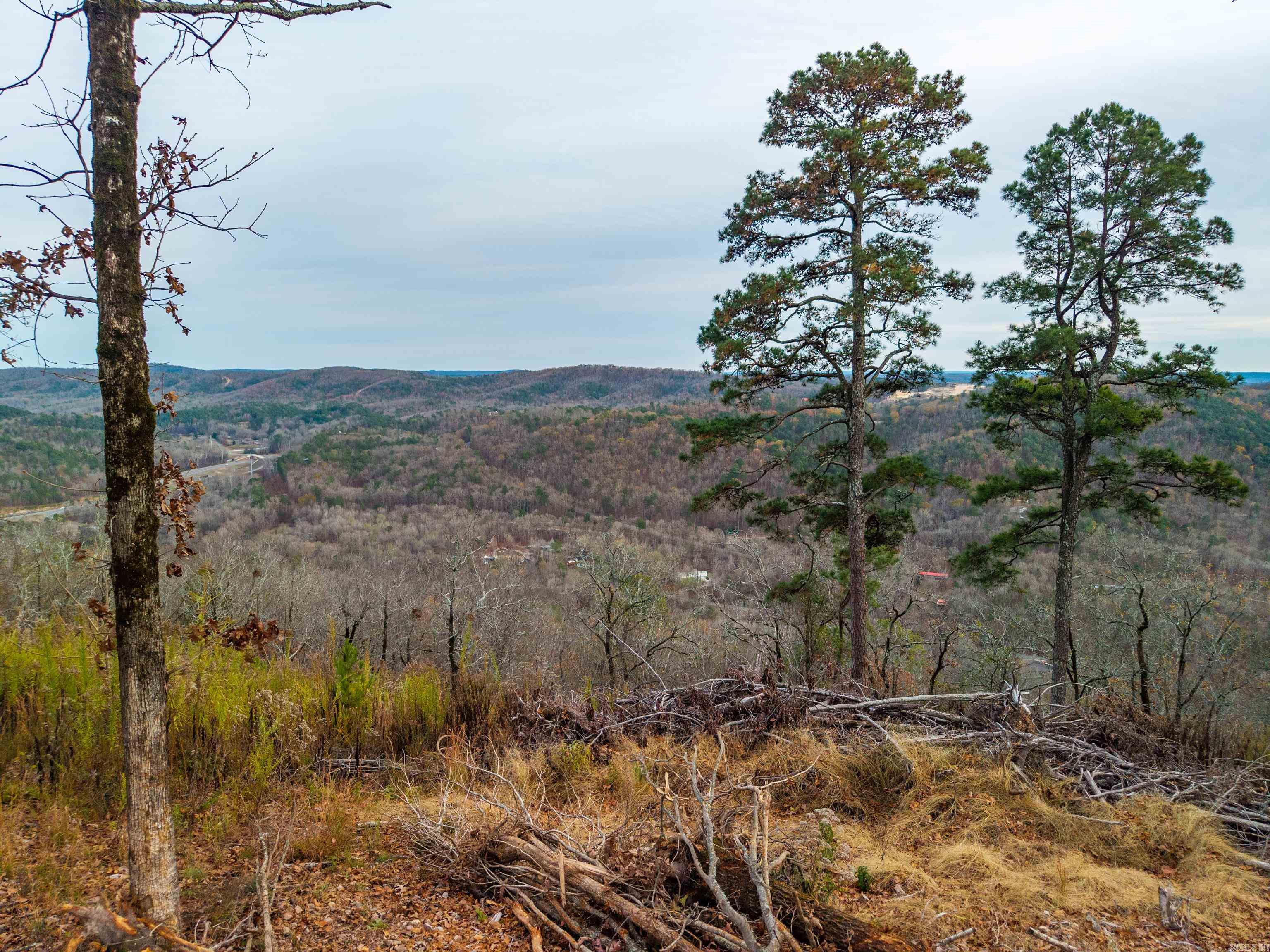 Bright Morning Star - Land