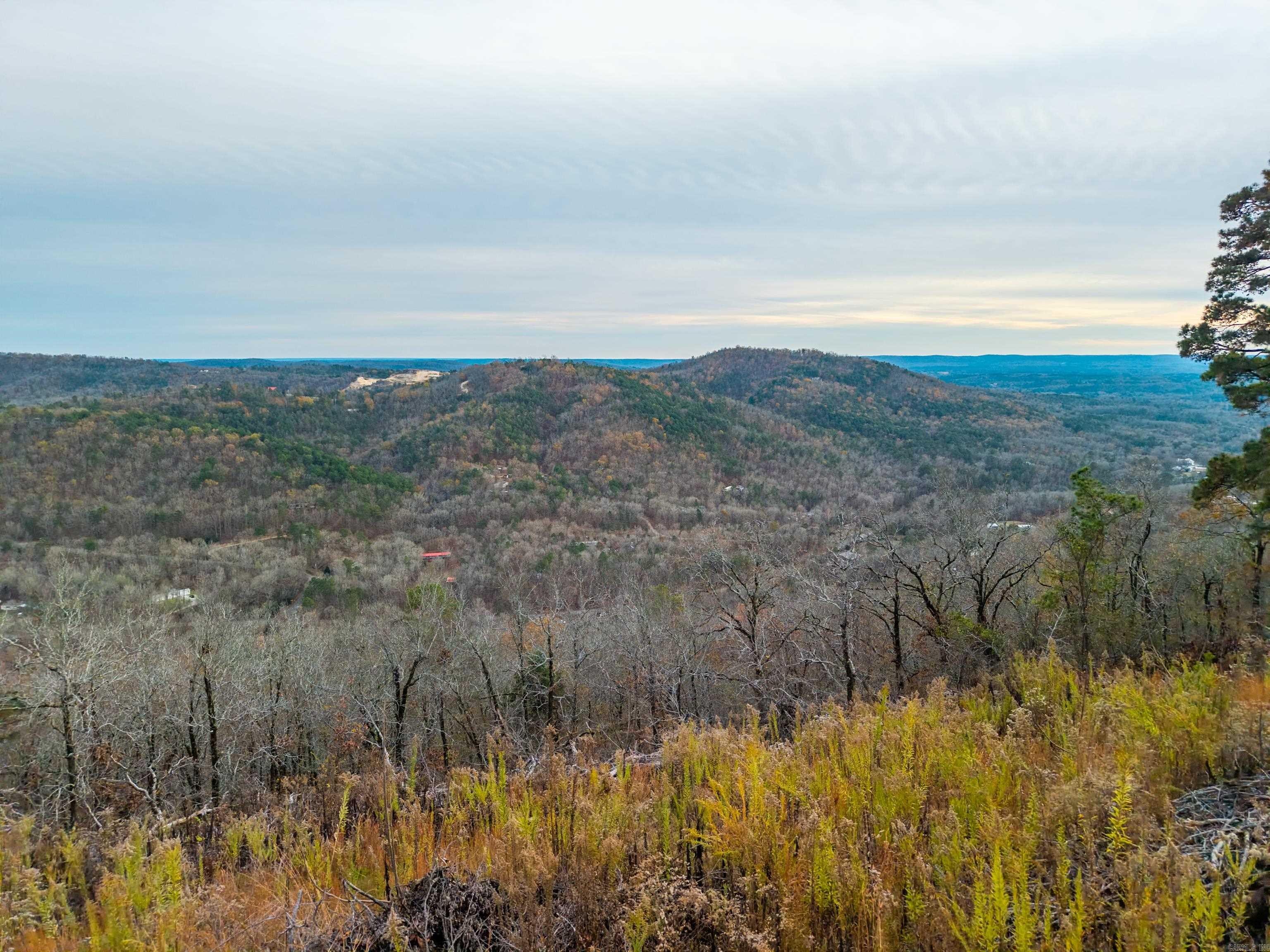 Bright Morning Star - Land