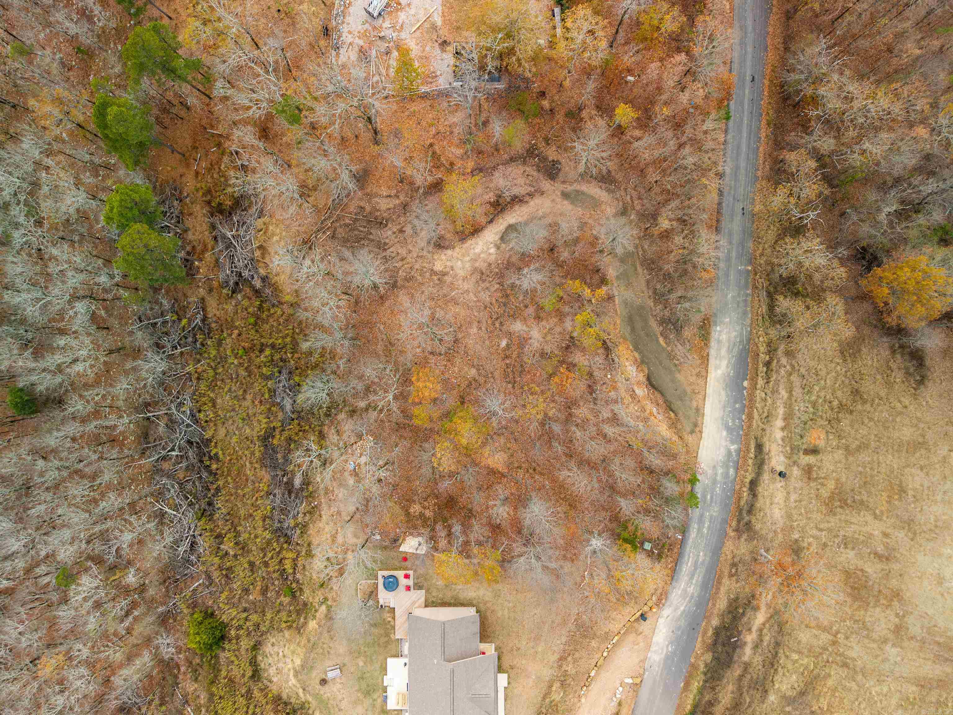 Bright Morning Star - Land