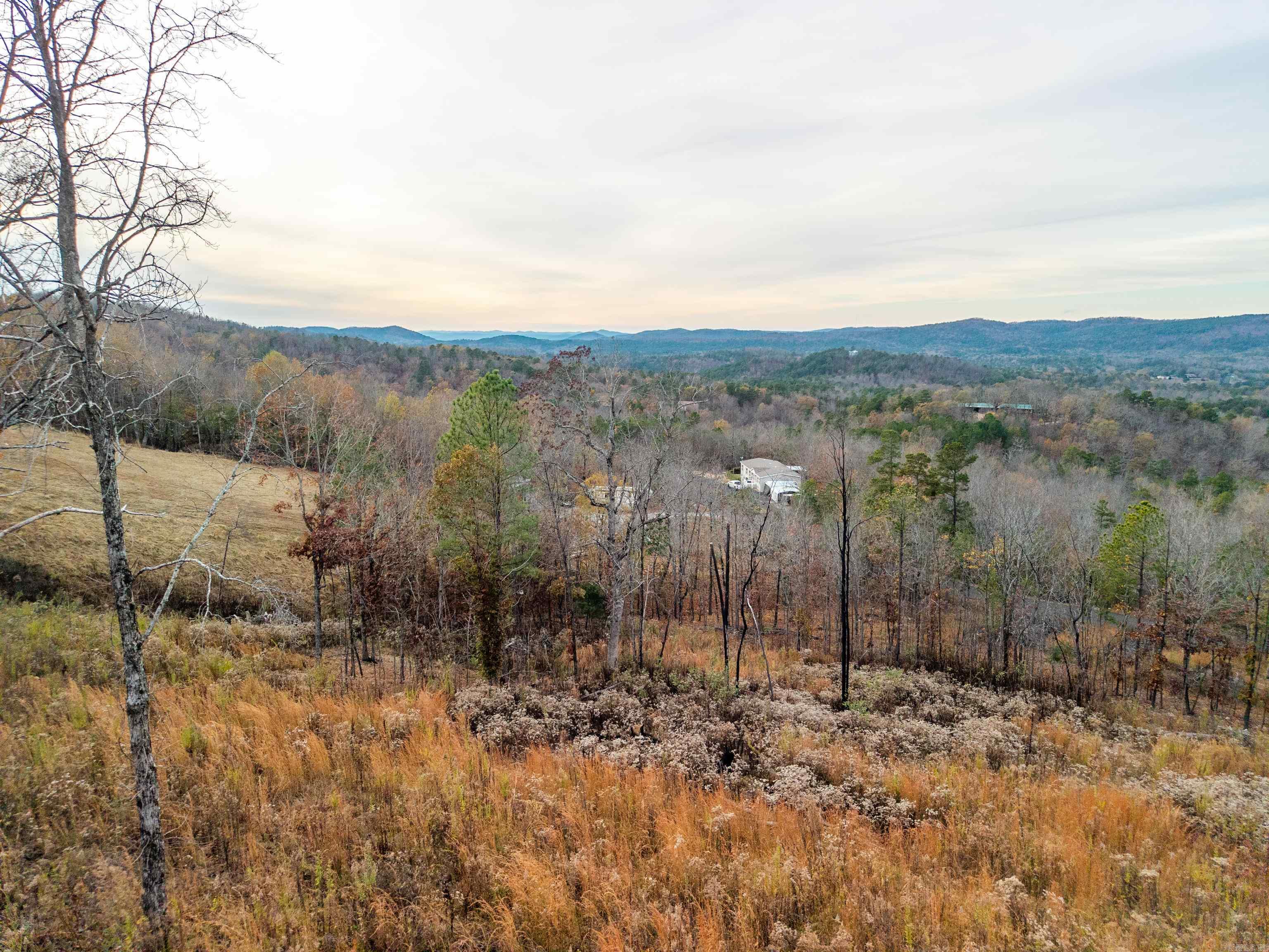 Bright Morning Star - Land