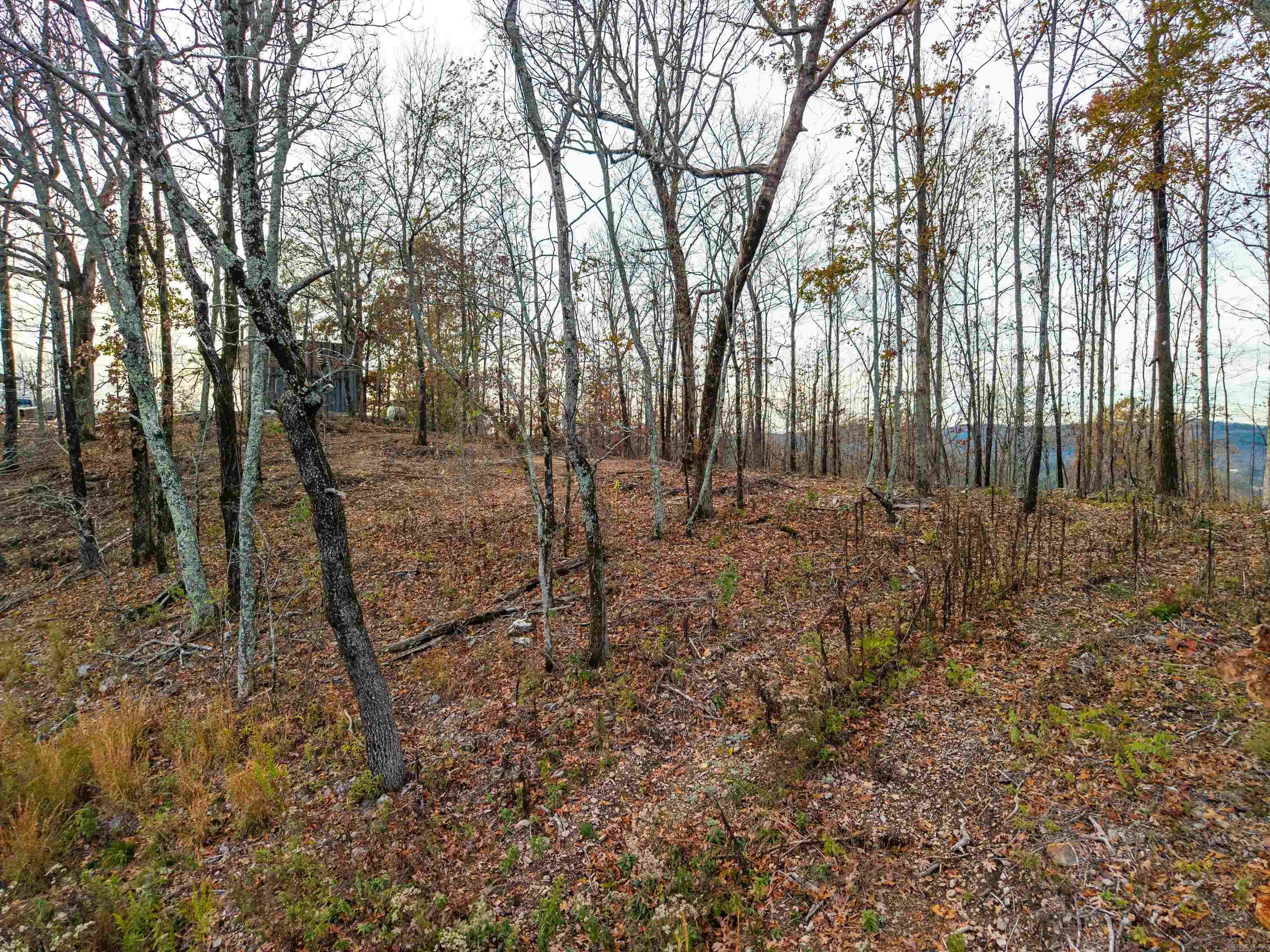 Bright Morning Star - Land