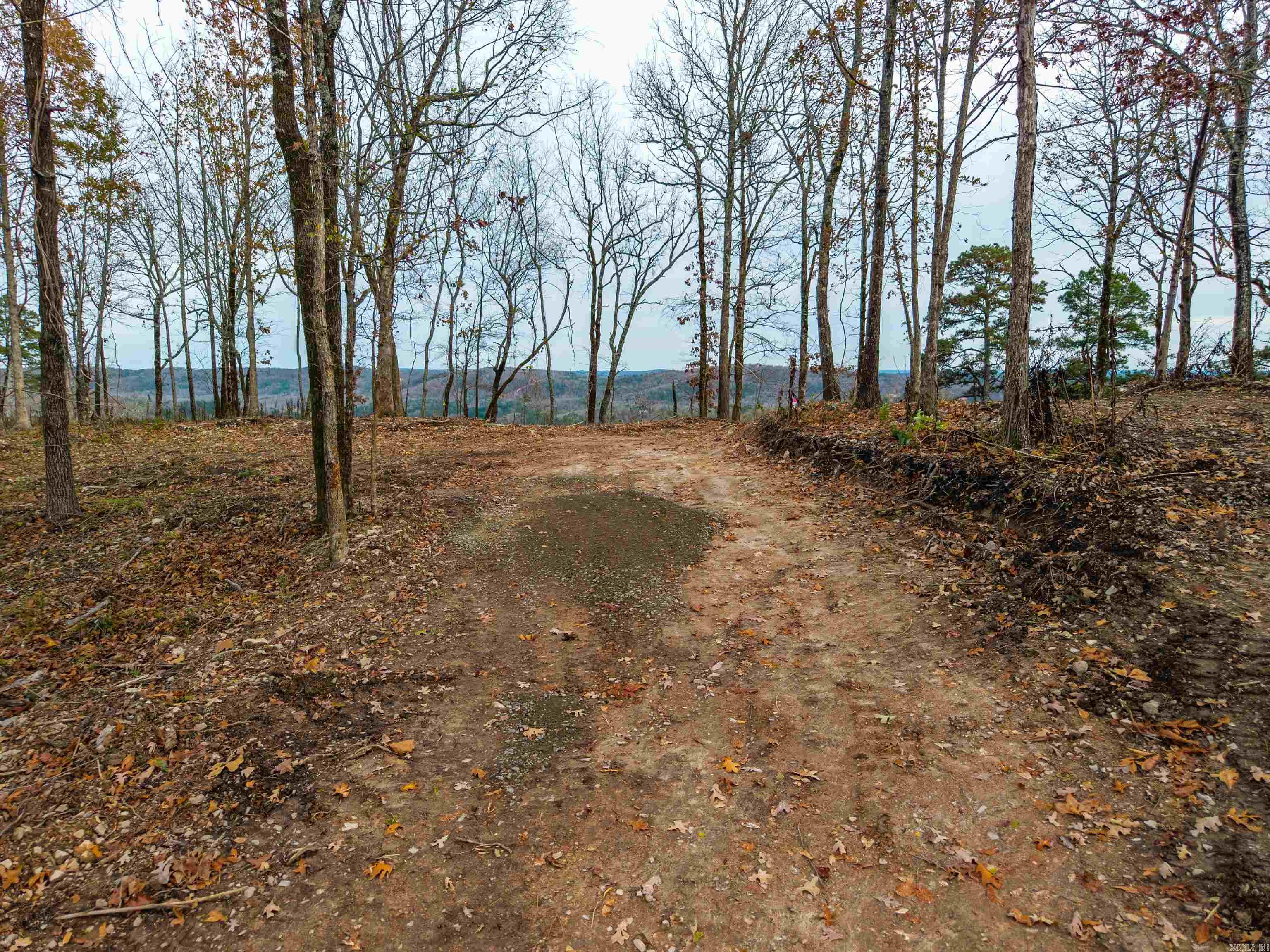 Bright Morning Star - Land