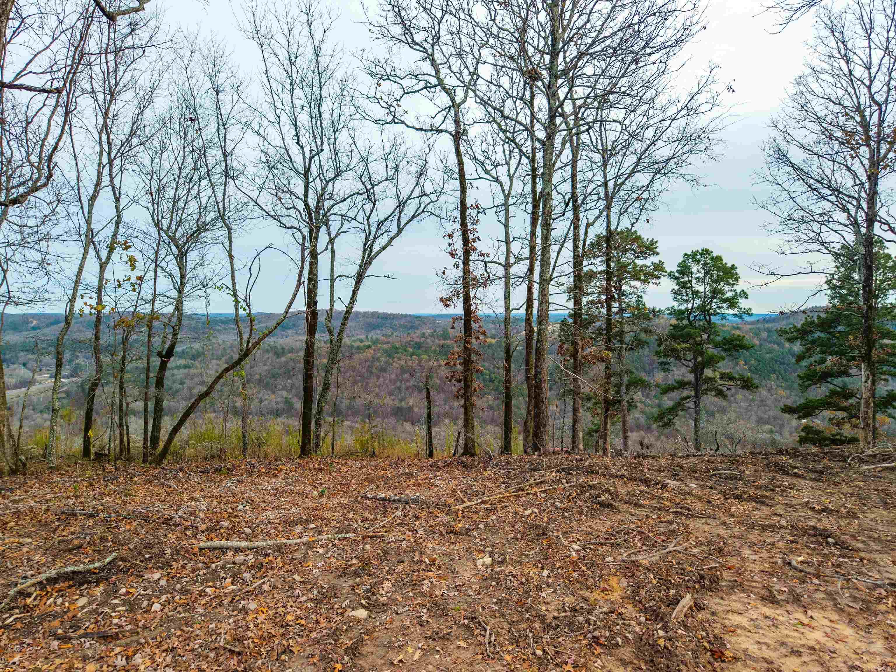 Bright Morning Star - Land