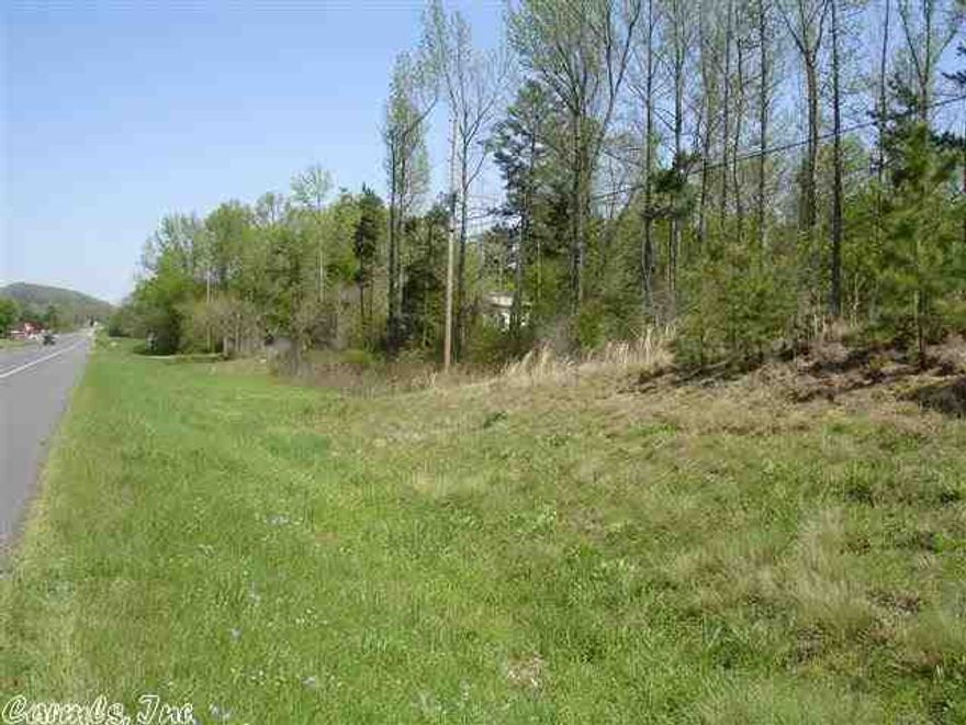 This tract of land is very suitable for livestock or subdividing into smaller tracts.  It is very conveniently located on a paved road close to the Caddo River, Country Club, and shopping.