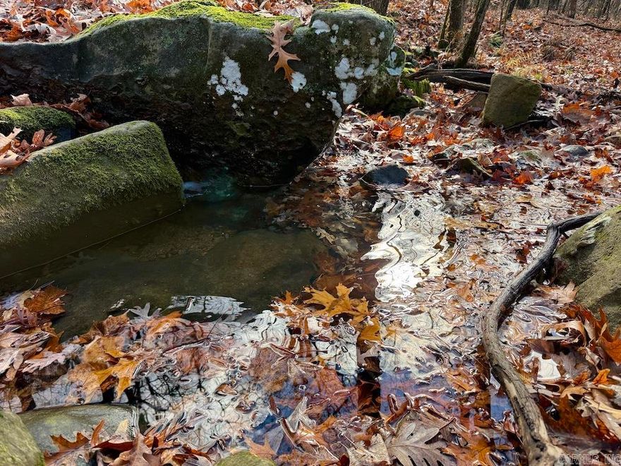 This rare Ozarks find offers a stunning wooded tract filled with privacy, character, and incredible potential. Mature hardwoods blanket the rolling terrain, creating exceptional wildlife habitat for deer, bear, turkey, and even occasional elk. The land features wooded flats, draws, rocky outcroppings, bluffs, small caves, and a beautiful seasonal spring flowing most of the year. Trails throughout provide excellent access, and a power line offers an additional hunting vantage point. Access is convenient from a well-maintained county road, and electricity is already on site. Multiple build sites showcase sweeping views of the Osage Valley and surrounding mountains. Ideally located near the Buffalo National River and Ponca, this property is perfect for a hunting retreat, private getaway, dream home, or future cabin rentals.