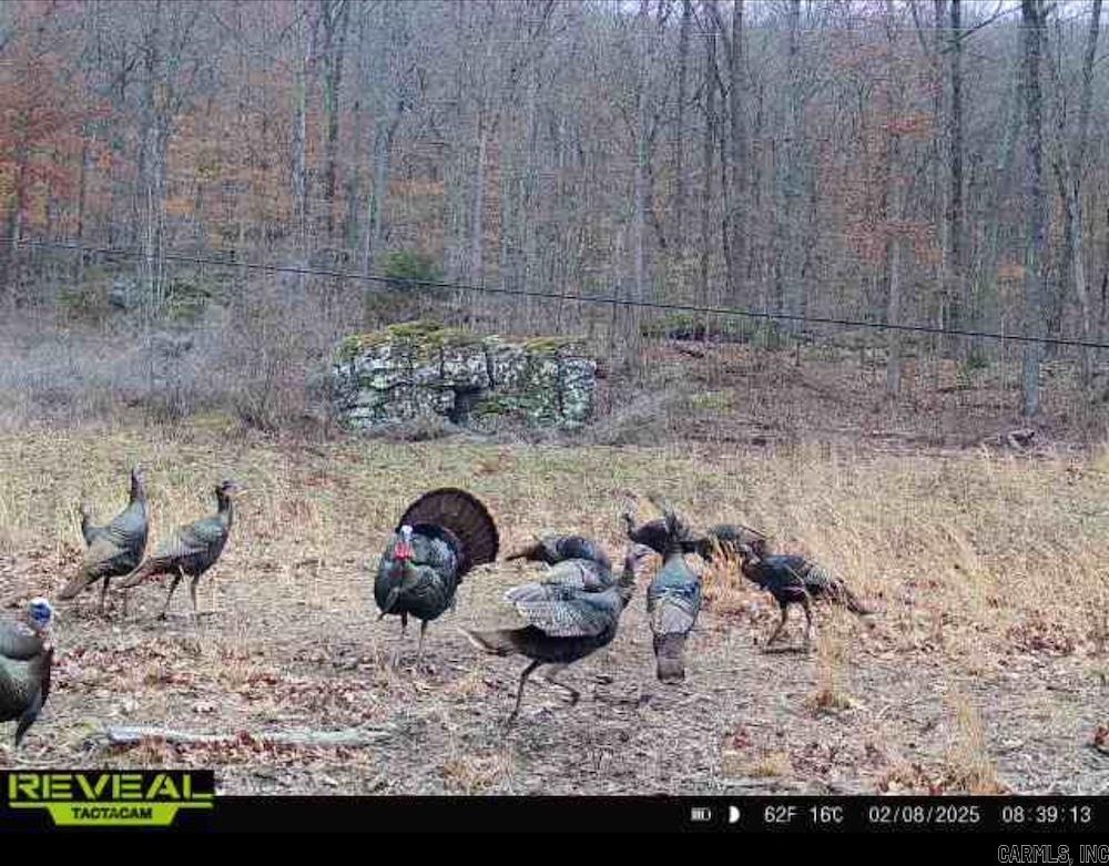 Not in Subdivision - Land