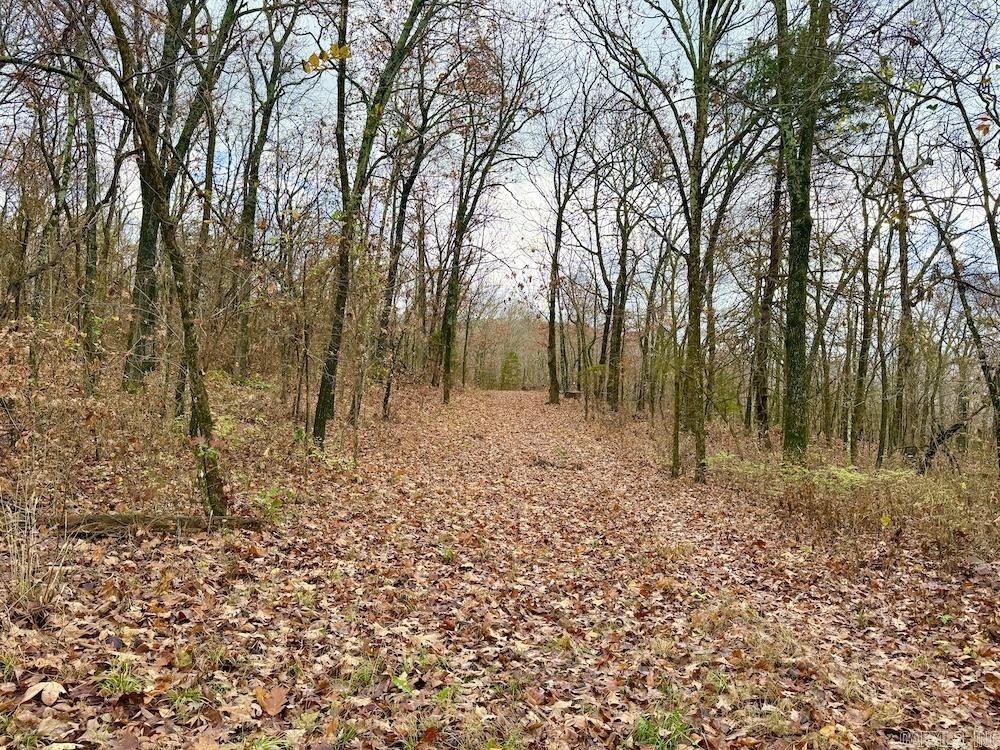 Not in Subdivision - Land