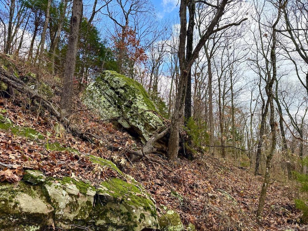 Not in Subdivision - Land