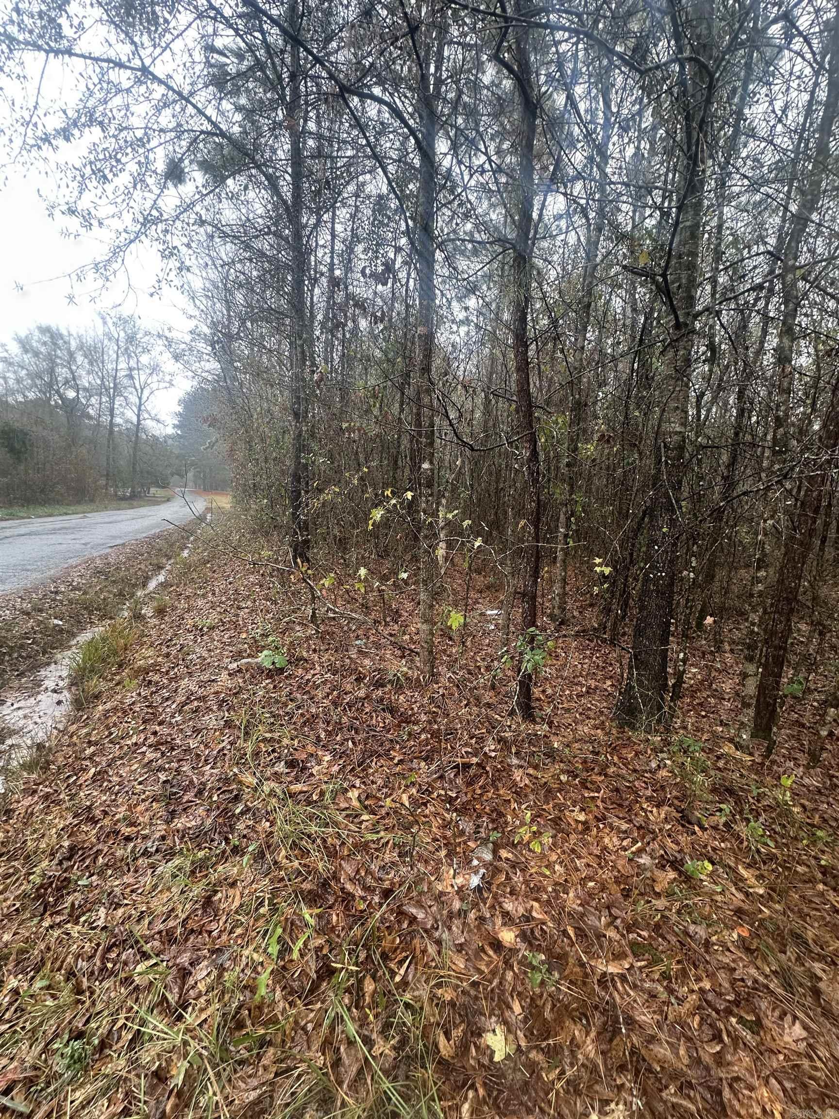 Clearwater Estate - Land