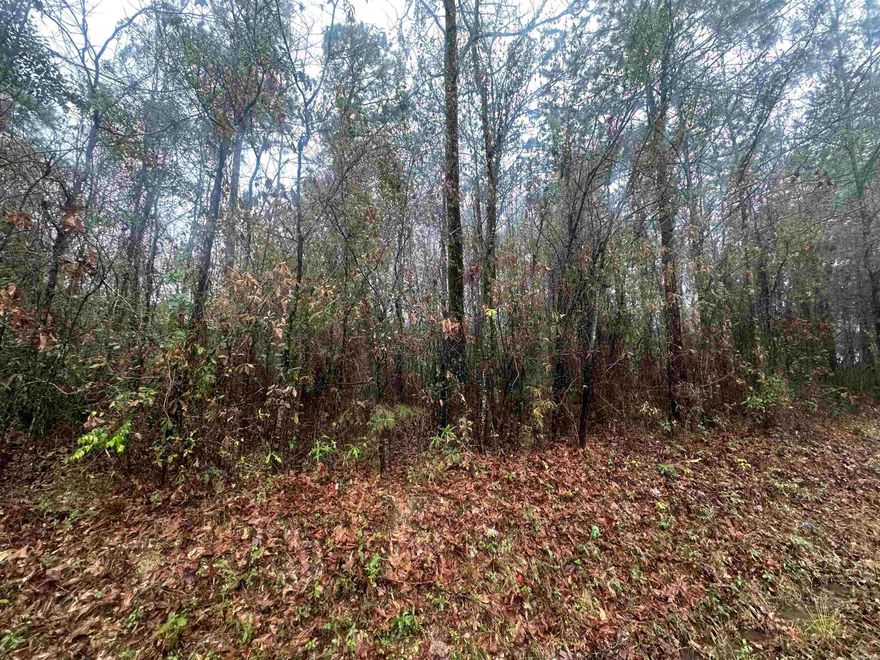 Discover the perfect spot for your future home or investment property with this spacious 0.46-acre lot located in a peaceful, well-established area. This parcel offers the ideal balance of privacy and convenience, featuring utilities available right at the road, making development easier and more cost-effective.