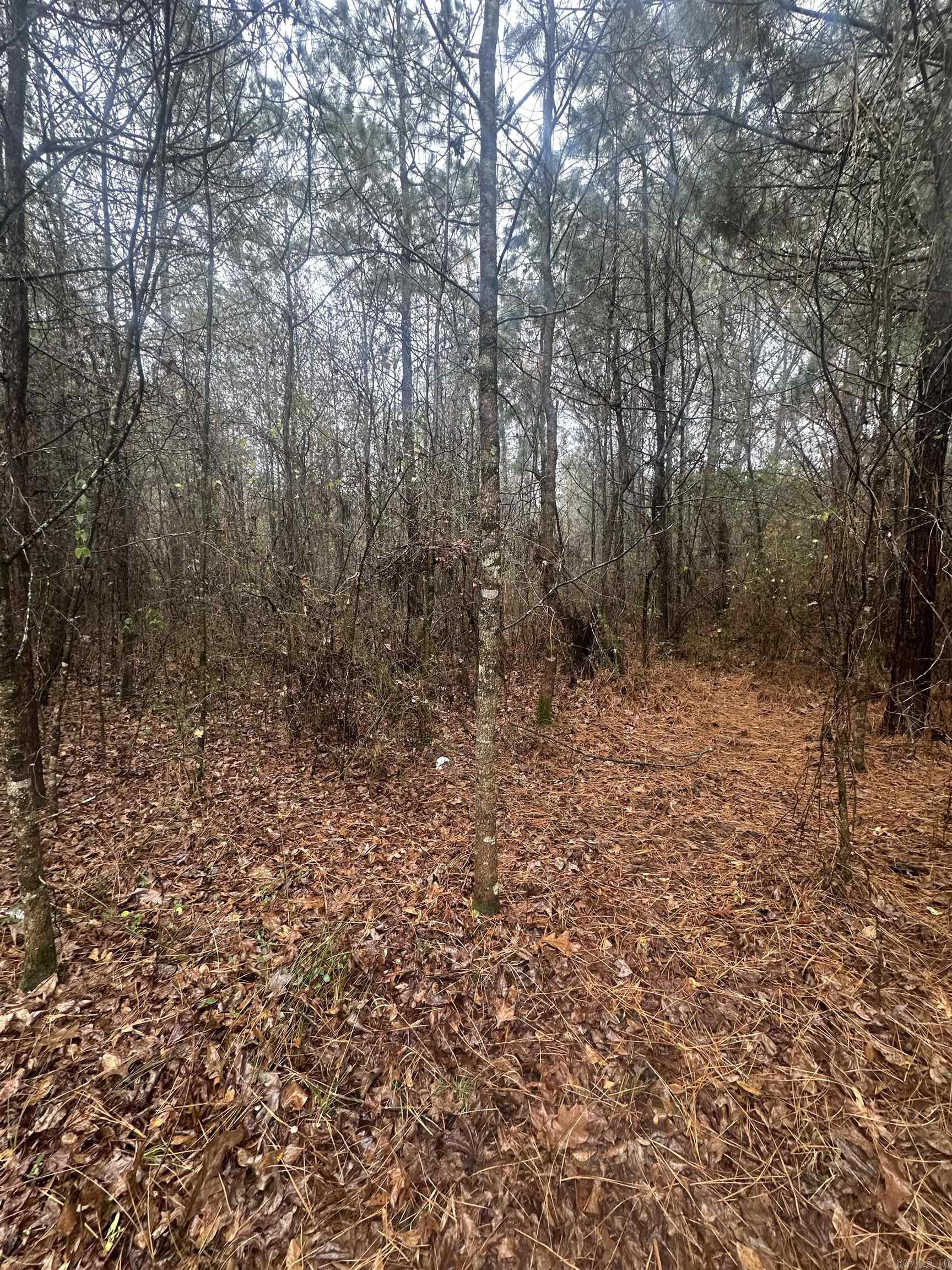 Clearwater Estate - Land