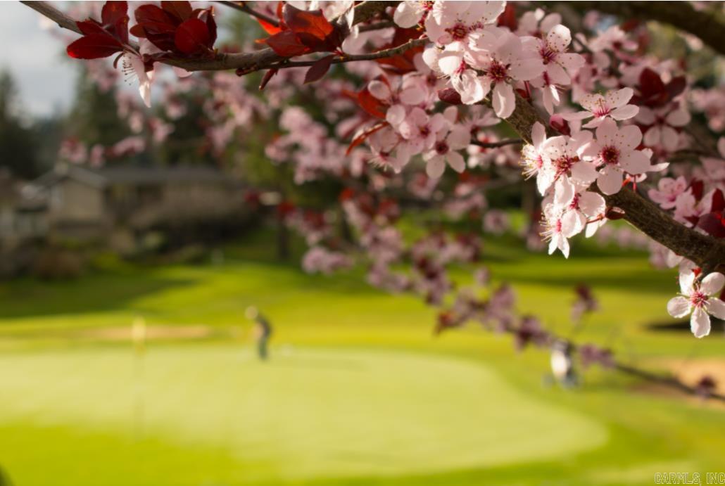 ISABELLA - Residential