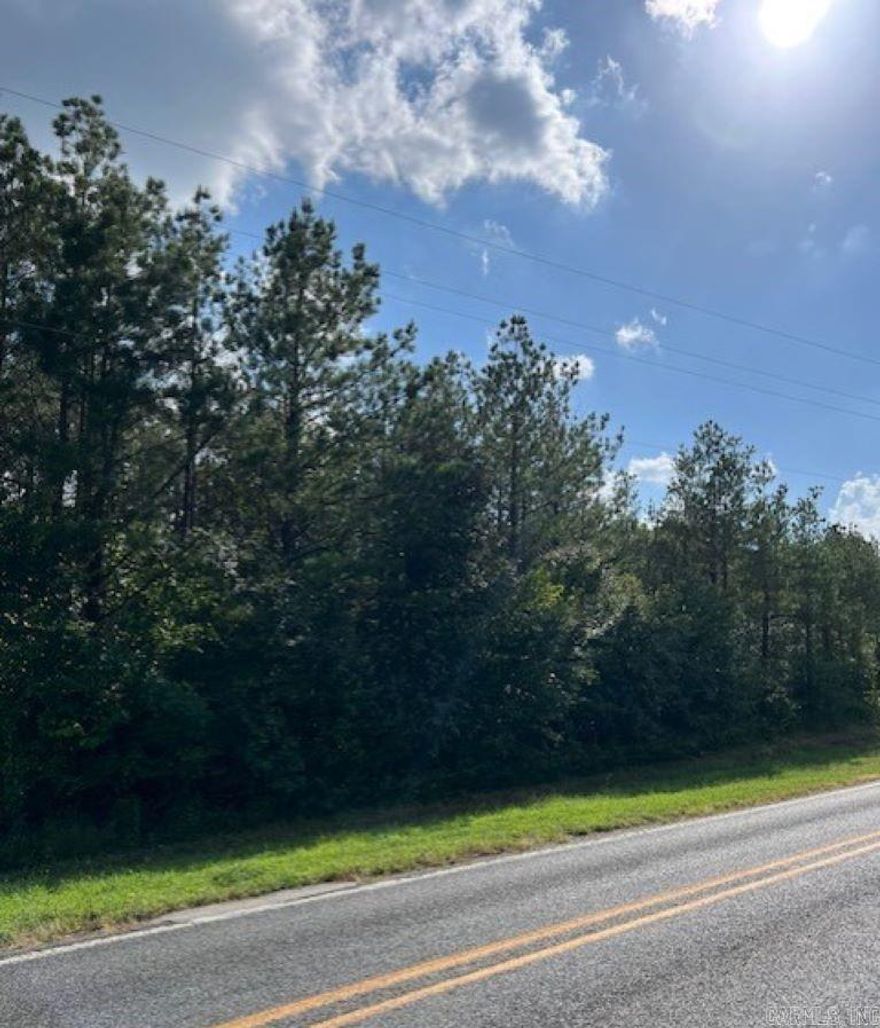 Great location on Hwy 84 with 46+/- acres of wooded property in Bismarck School District located near Hot Springs and Malvern.  Prairie Bayou runs across the property with clear running water to enjoy during the hot summer.  This property is ideal for a homesite since utilities may be accessed along the highway frontage with recreational enjoyment towards the back of property.  The pine/hardwood mixed forest has an 18 year old pine timberstand which can provide income from timber harvesting or enjoying secluded privacy for your hunting.