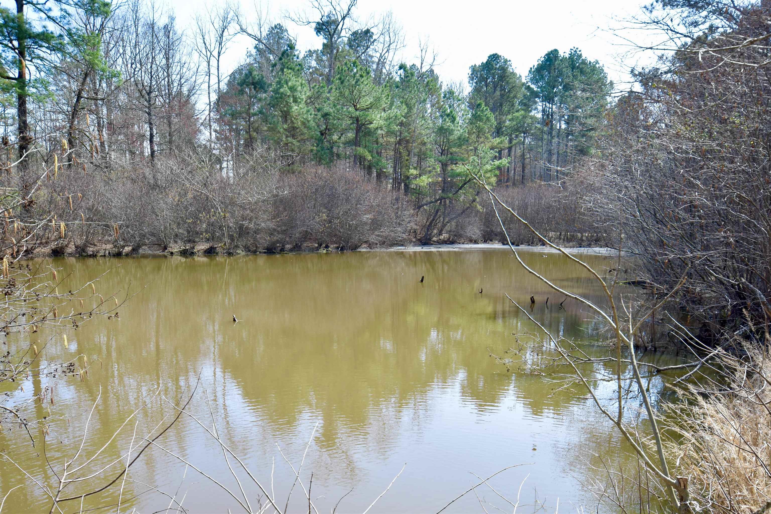 Glen Rose - Residential