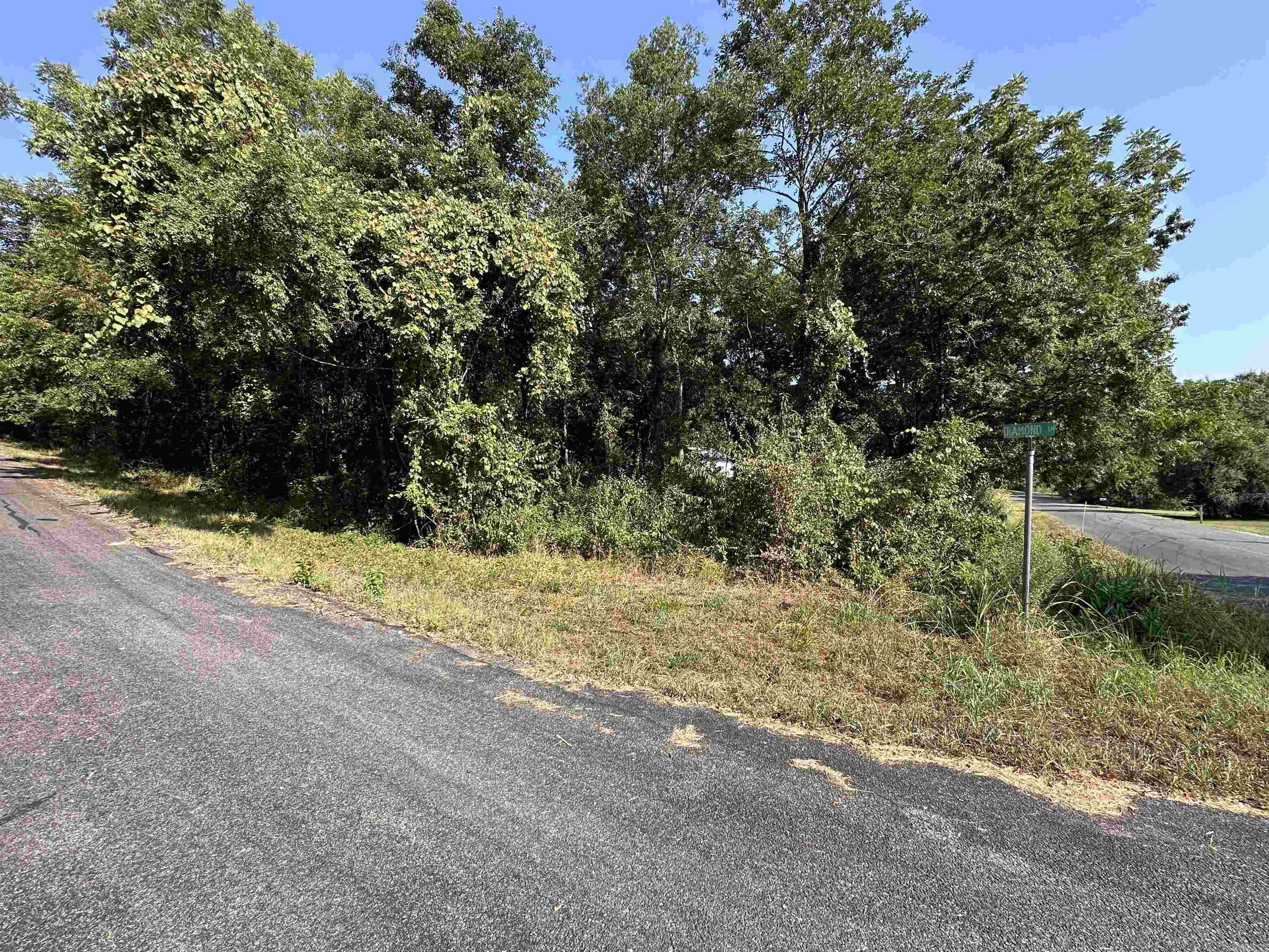 Take advantage of this 0.3-acre corner lot in Horseshoe Bend, Arkansas, offering a beautiful view of Crown Lake without the waterfront price tag. With paved road frontage and a wooded landscape, this lot provides privacy and shade while being the perfect spot to clear and build your dream home. Conveniently located near boating, fishing, and all the amenities of Horseshoe Bend, itās an excellent choice for a vacation retreat or full-time residence.