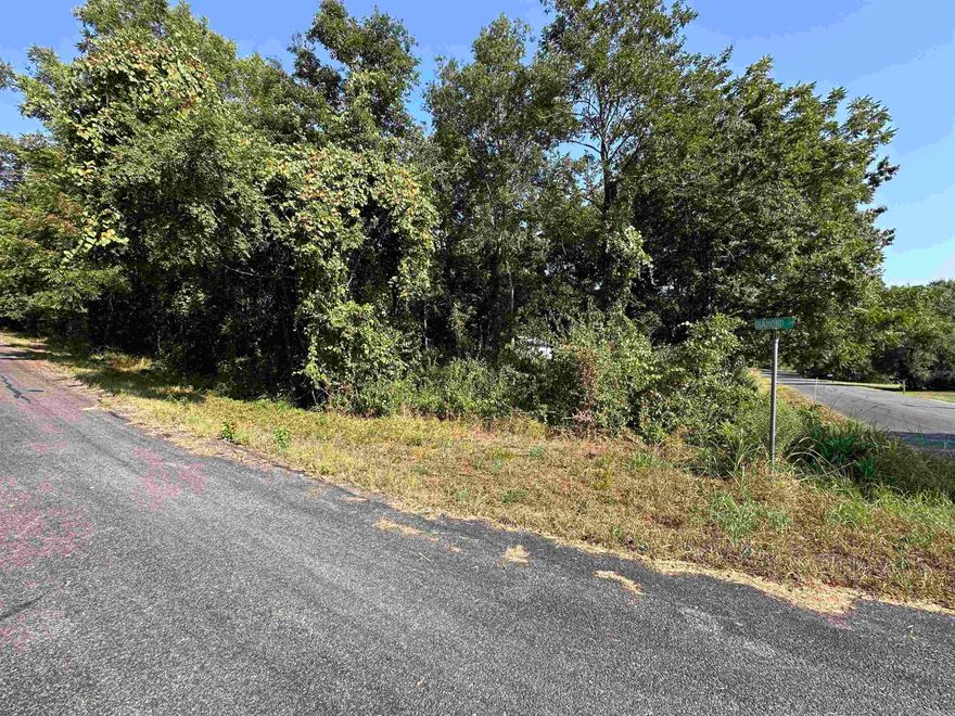 Take advantage of this 0.3-acre corner lot in Horseshoe Bend, Arkansas, offering a beautiful view of Crown Lake without the waterfront price tag. With paved road frontage and a wooded landscape, this lot provides privacy and shade while being the perfect spot to clear and build your dream home. Conveniently located near boating, fishing, and all the amenities of Horseshoe Bend, it’s an excellent choice for a vacation retreat or full-time residence.