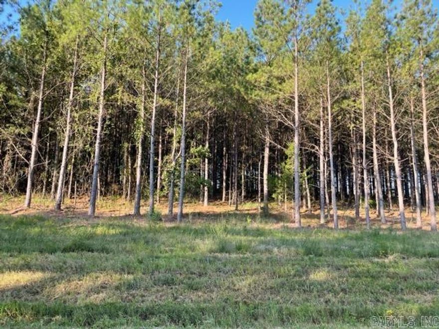 Beautiful building lot in Conway Public School system. Mostly cleared.